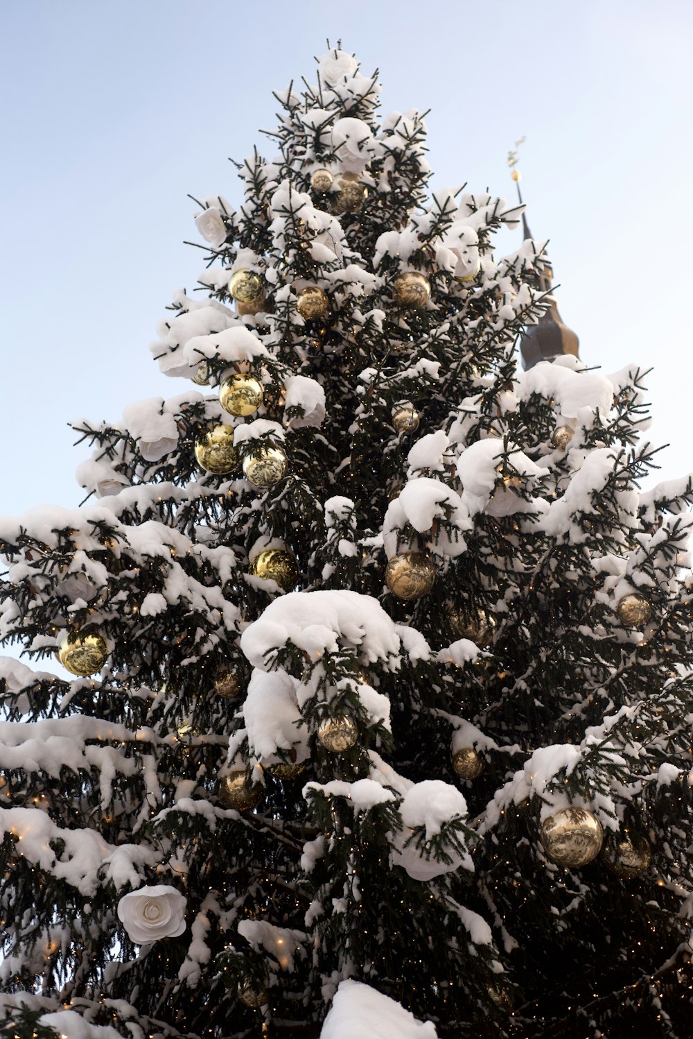 Un gran árbol de Navidad cubierto de nieve