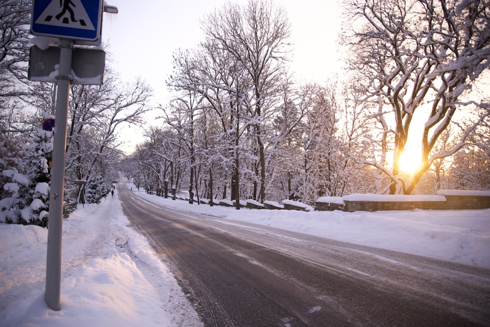 Un cartello stradale su una strada innevata con alberi sullo sfondo