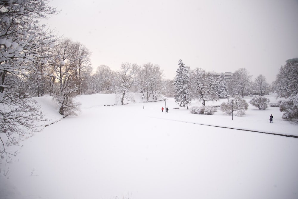 a couple of people walking through a snow covered park