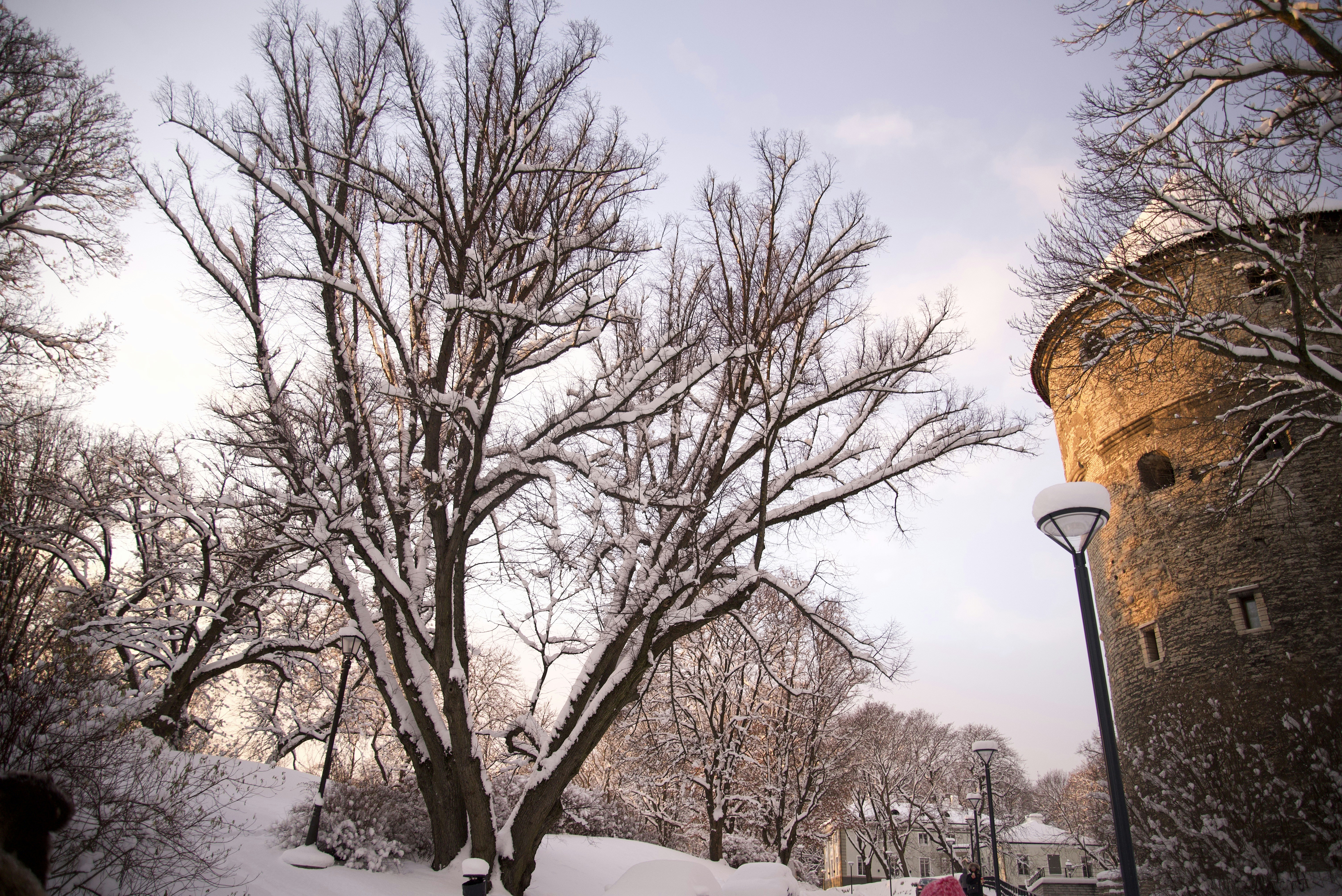 Photo by estoniaincorporated