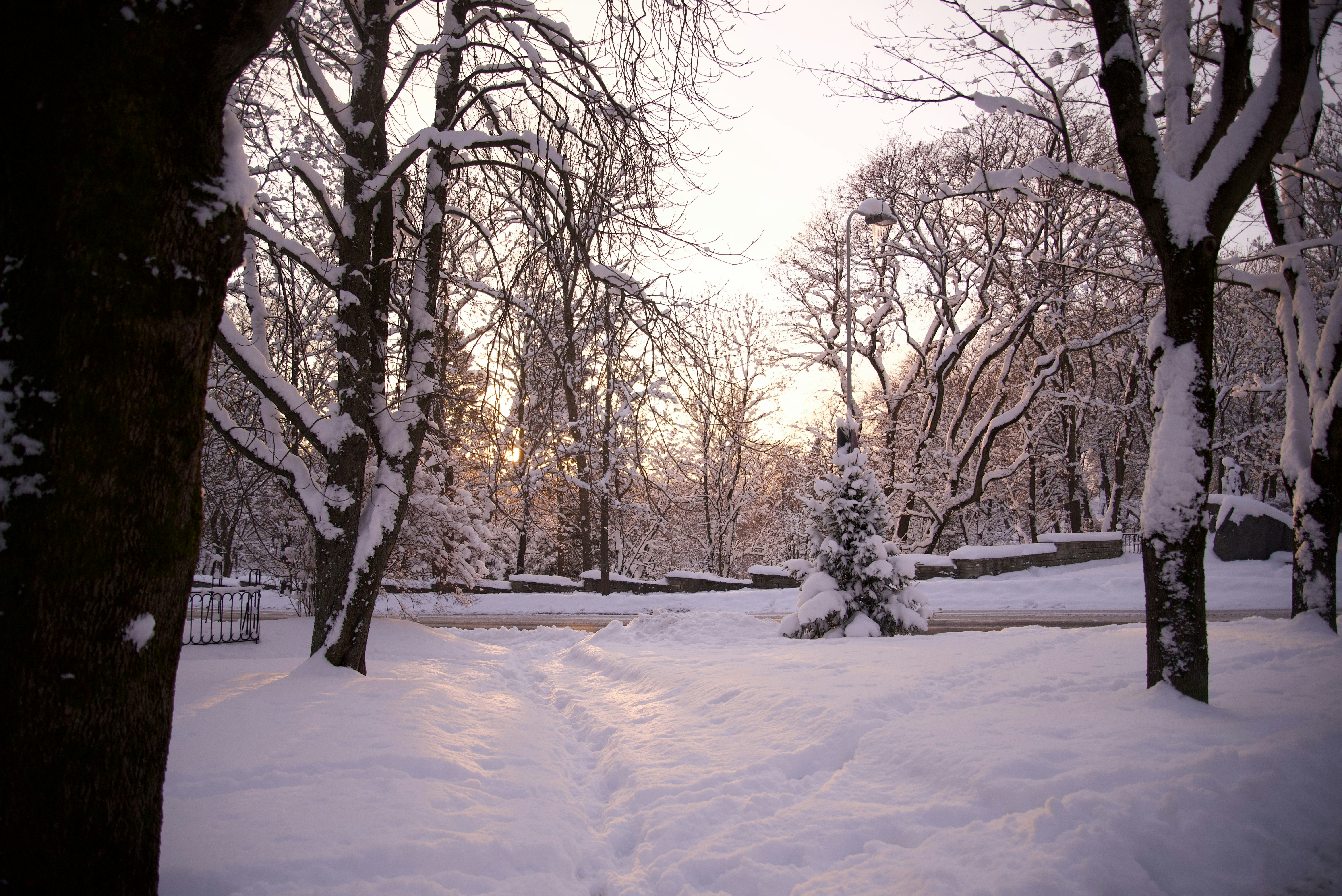 Photo by estoniaincorporated