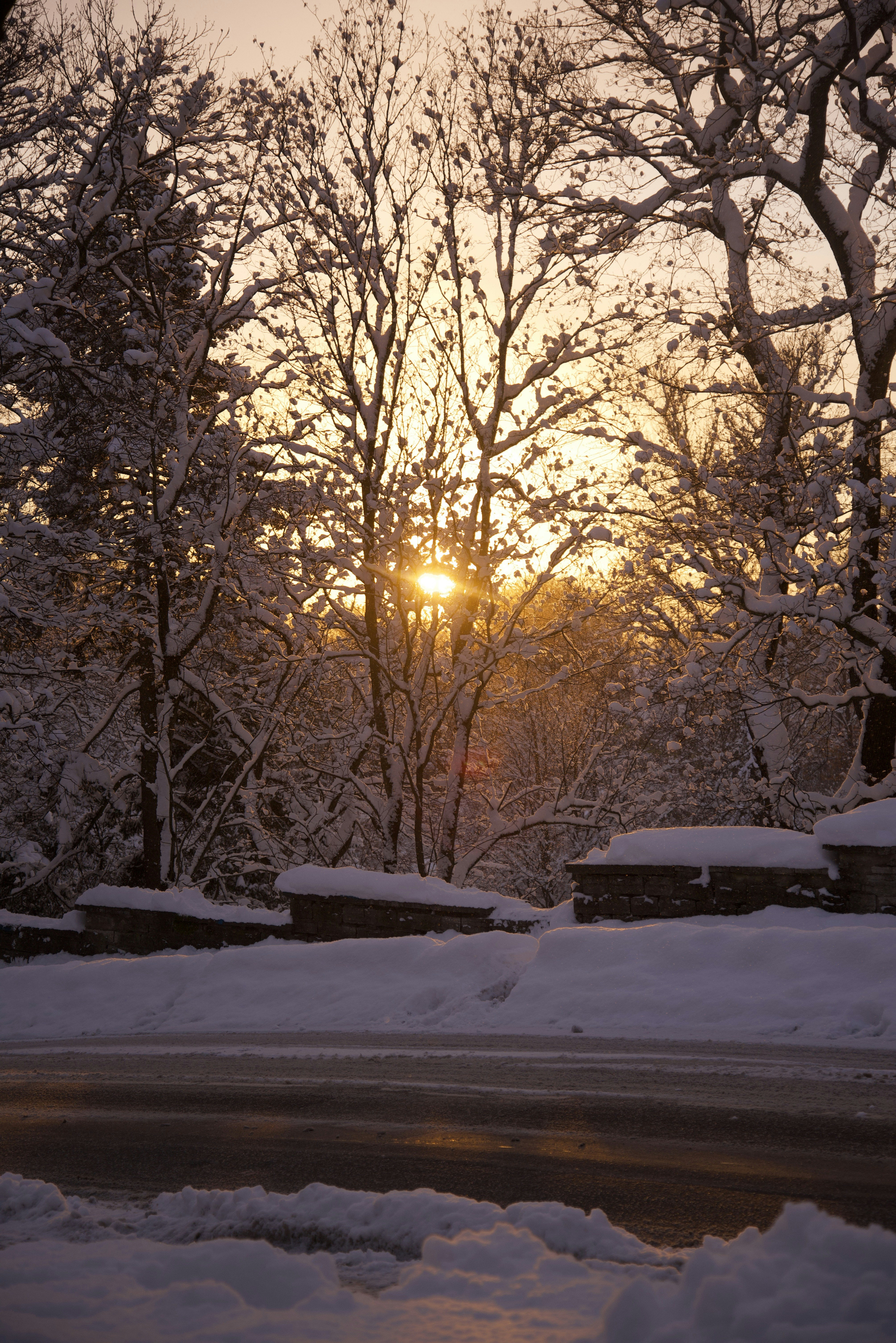 Photo by estoniaincorporated