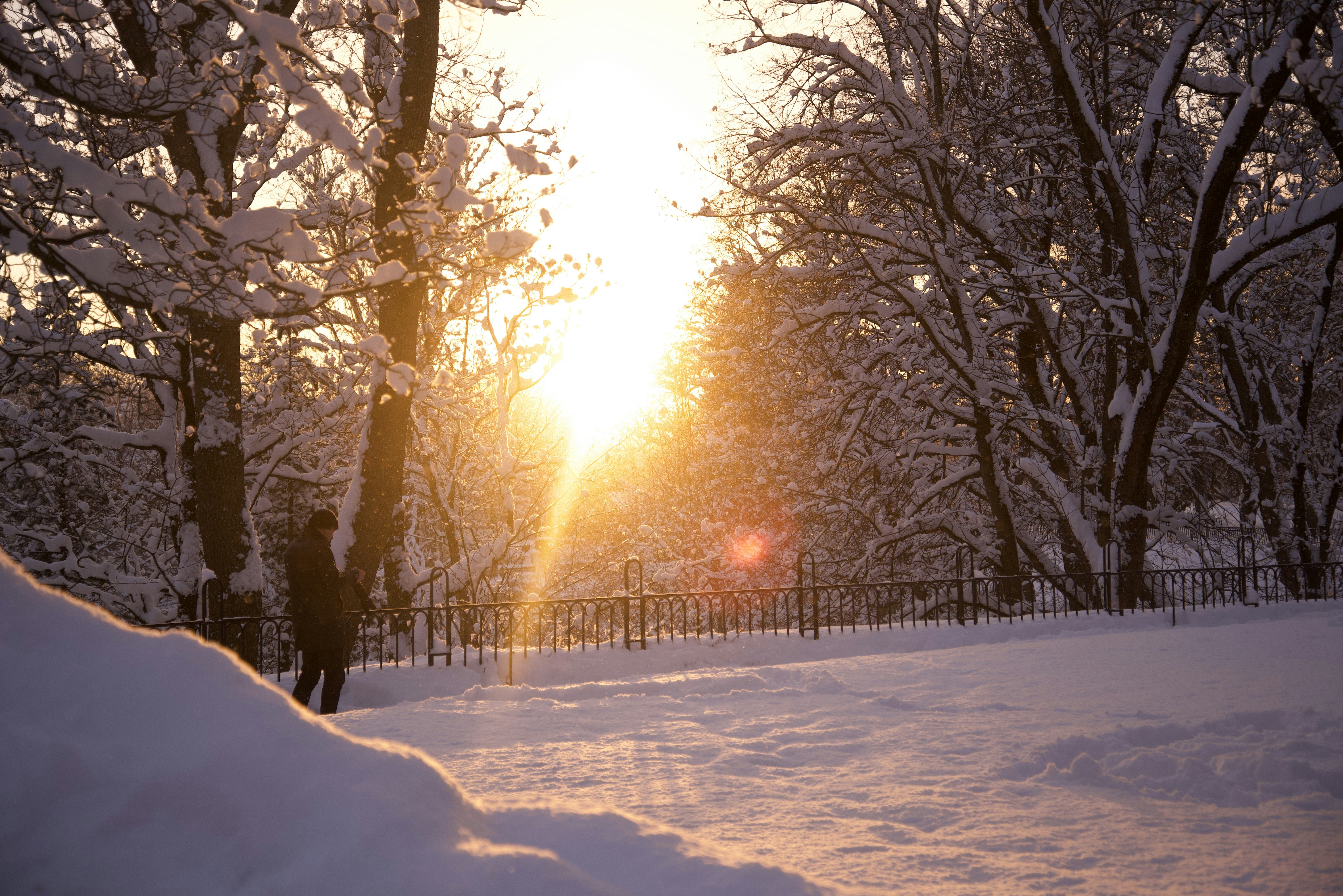 Photo by estoniaincorporated