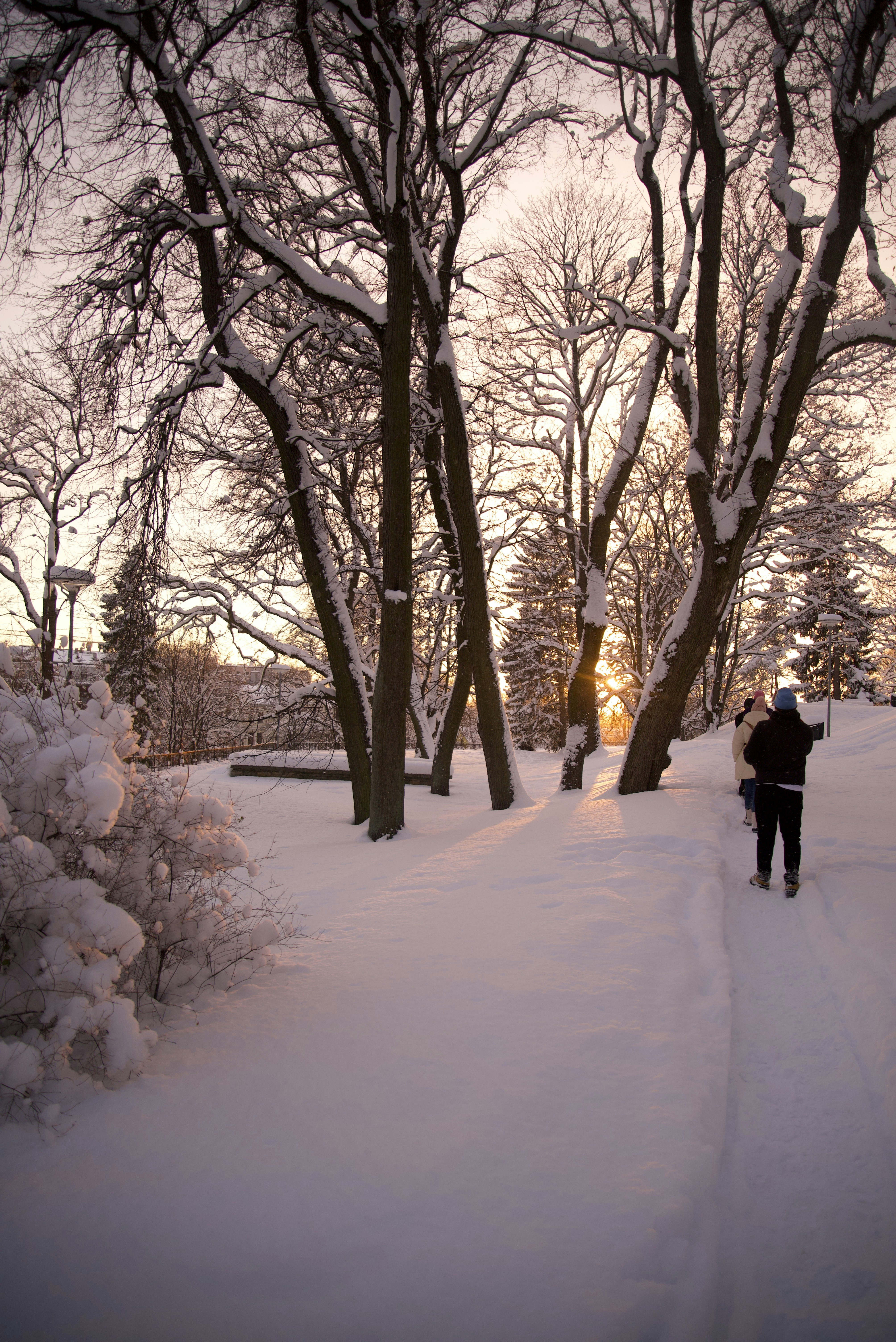 Photo by estoniaincorporated