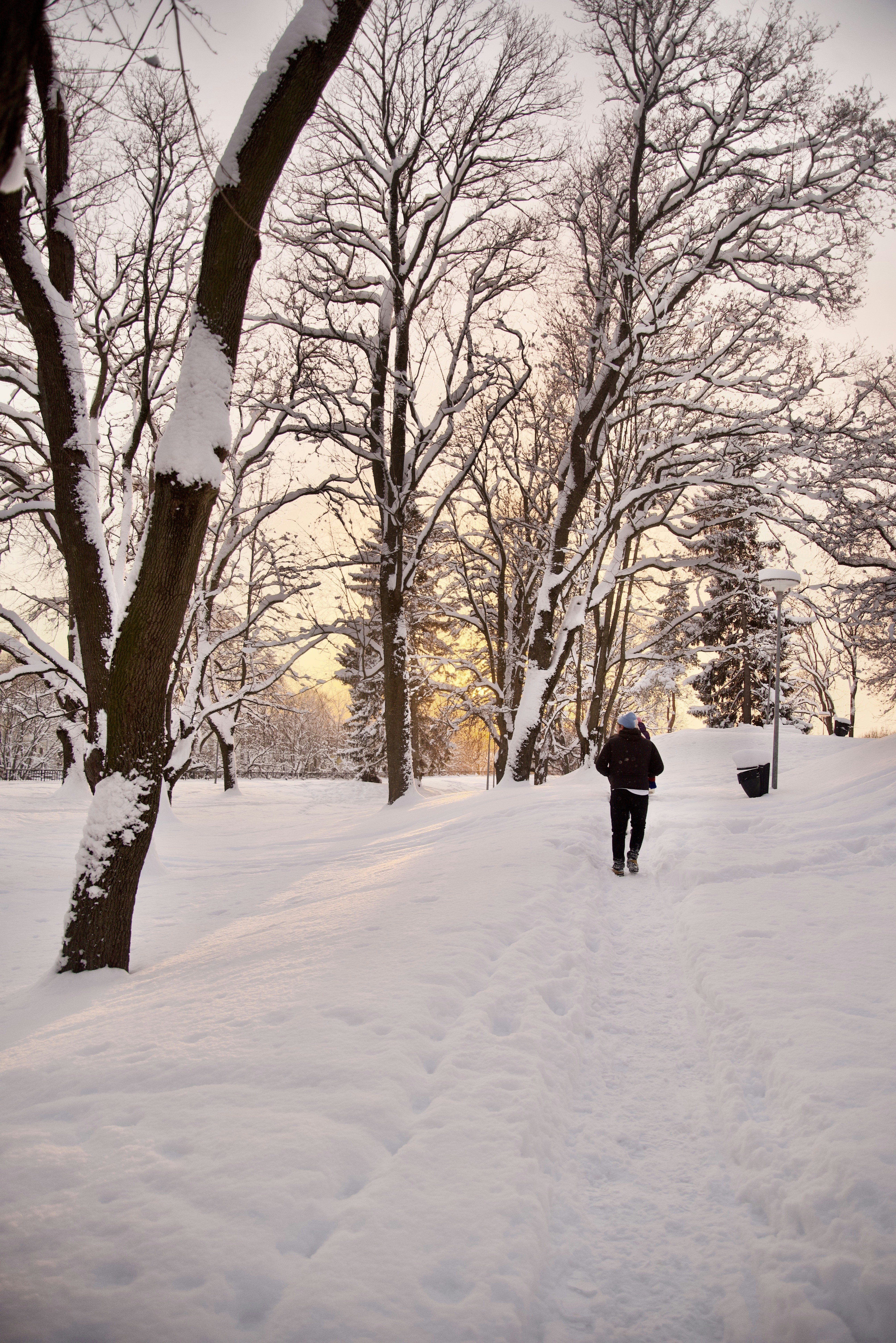 Photo by estoniaincorporated