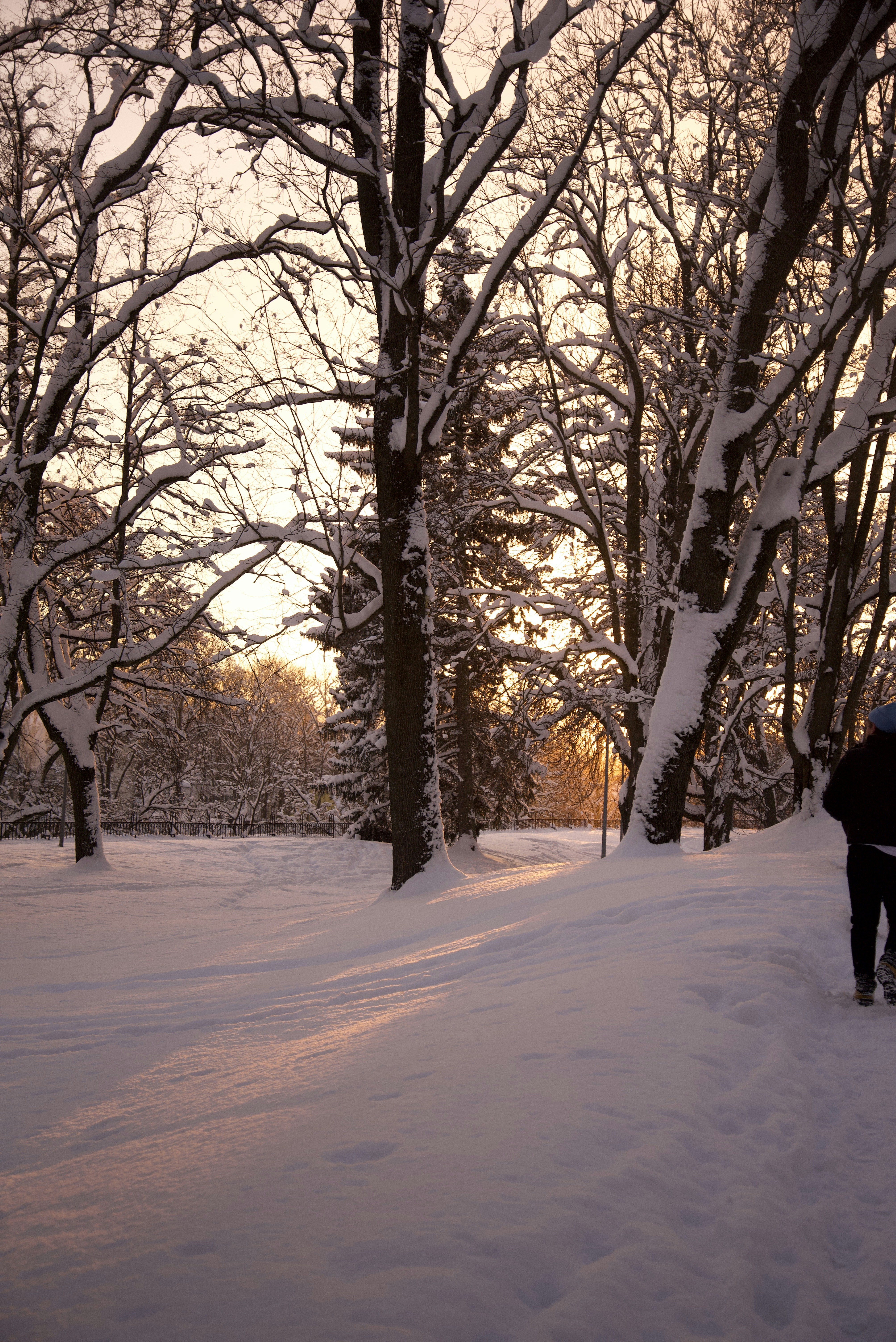 Photo by estoniaincorporated