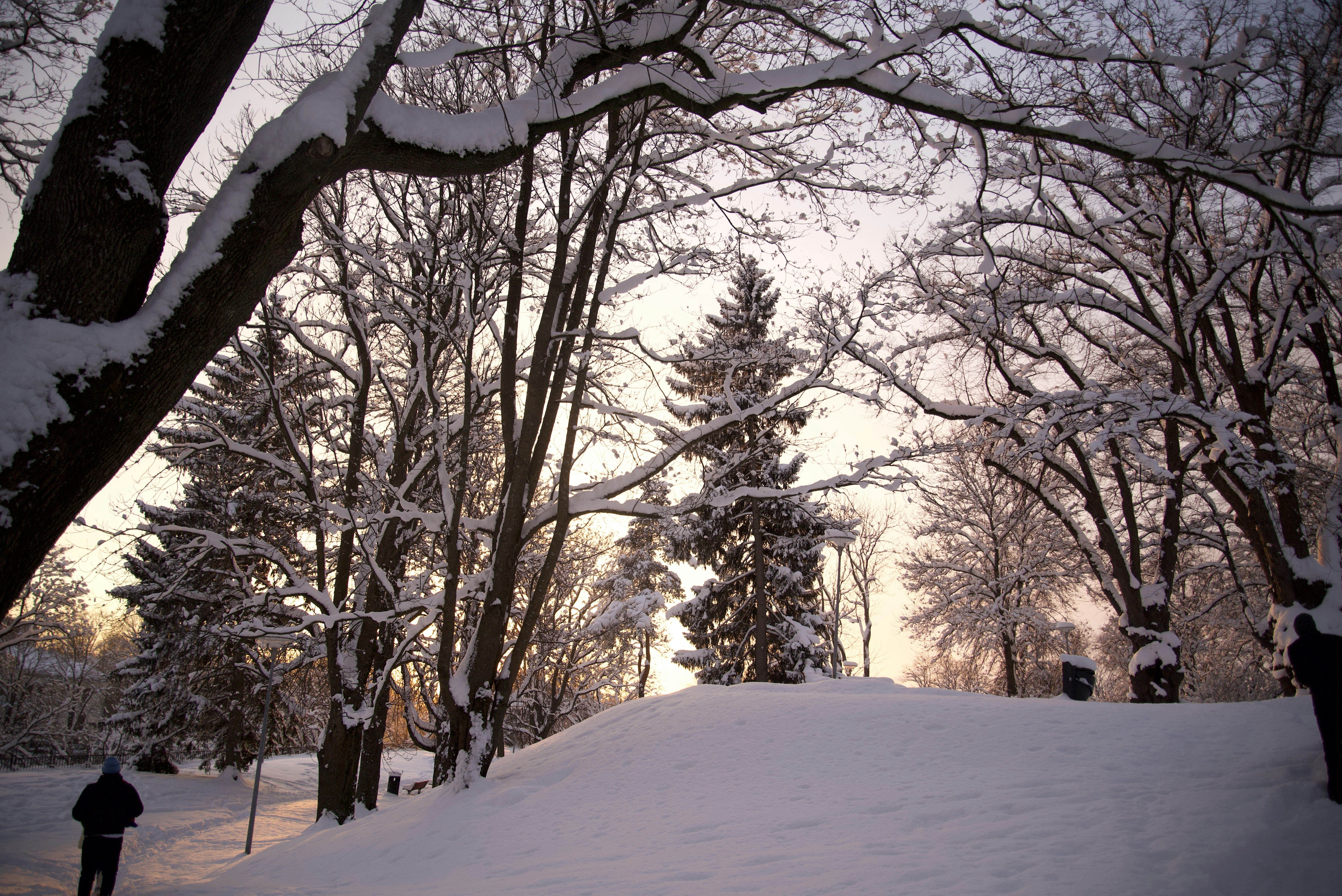 Photo by estoniaincorporated