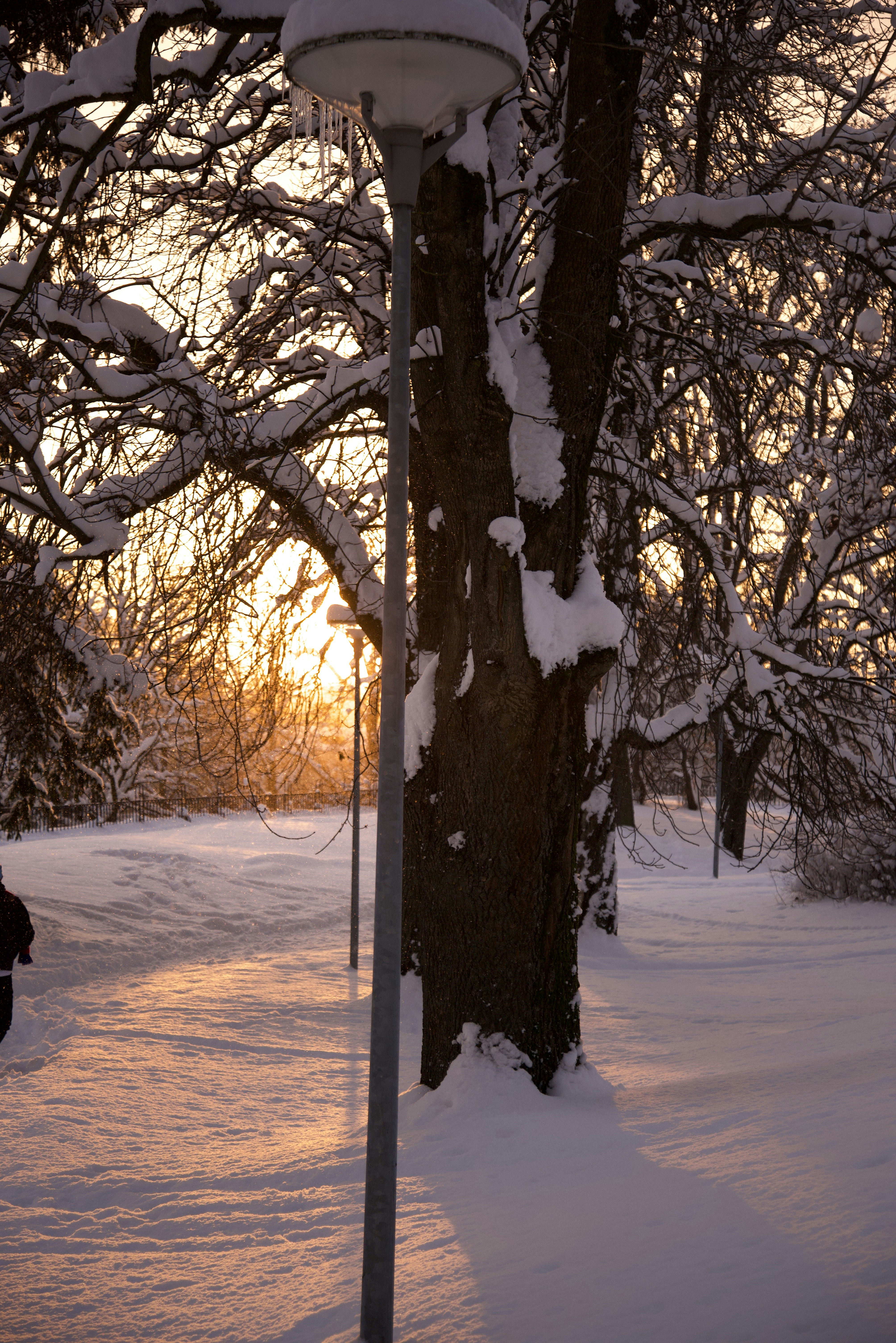 Photo by estoniaincorporated