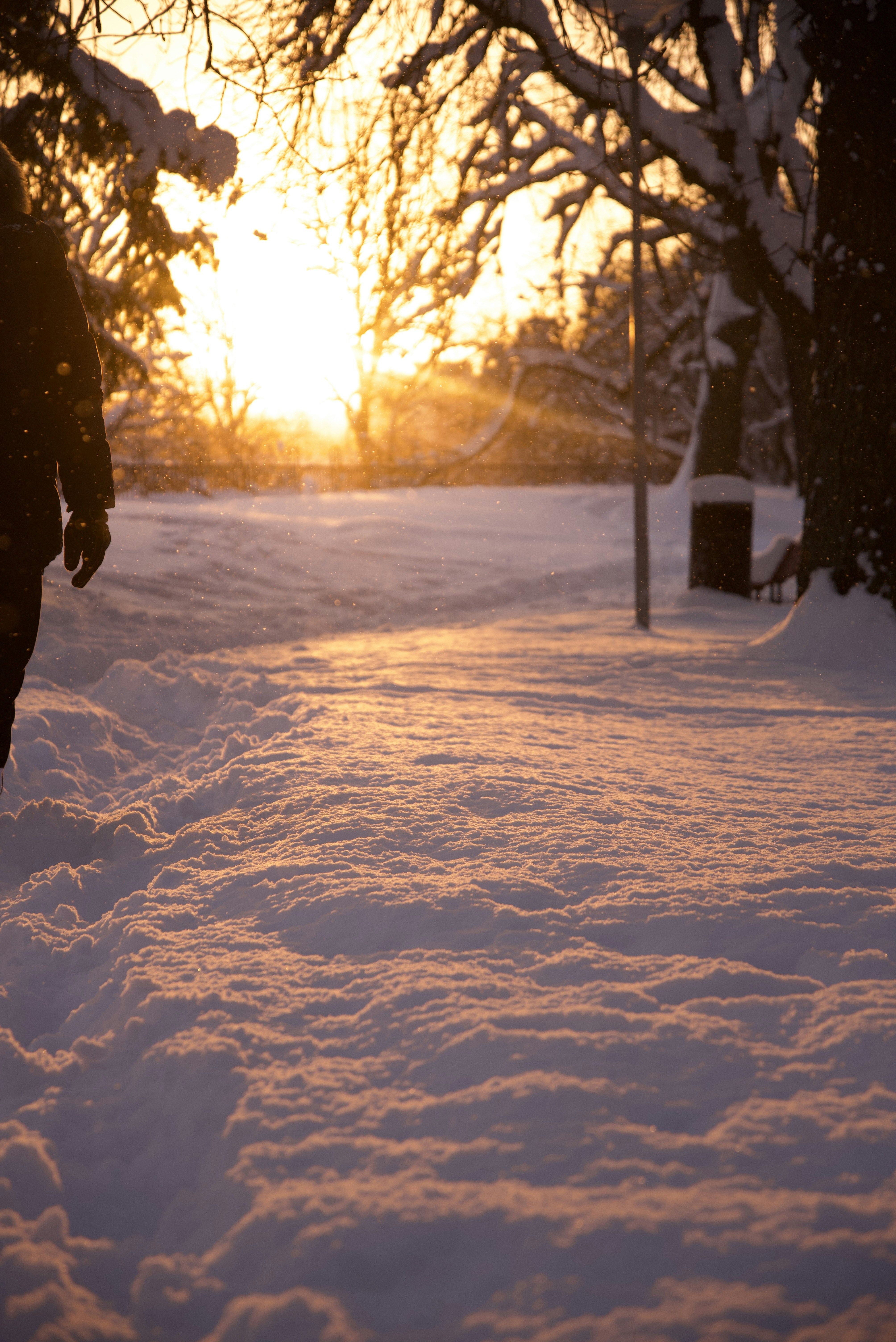 Photo by estoniaincorporated