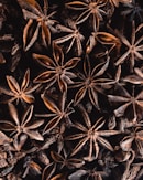 a bunch of star anise on a table