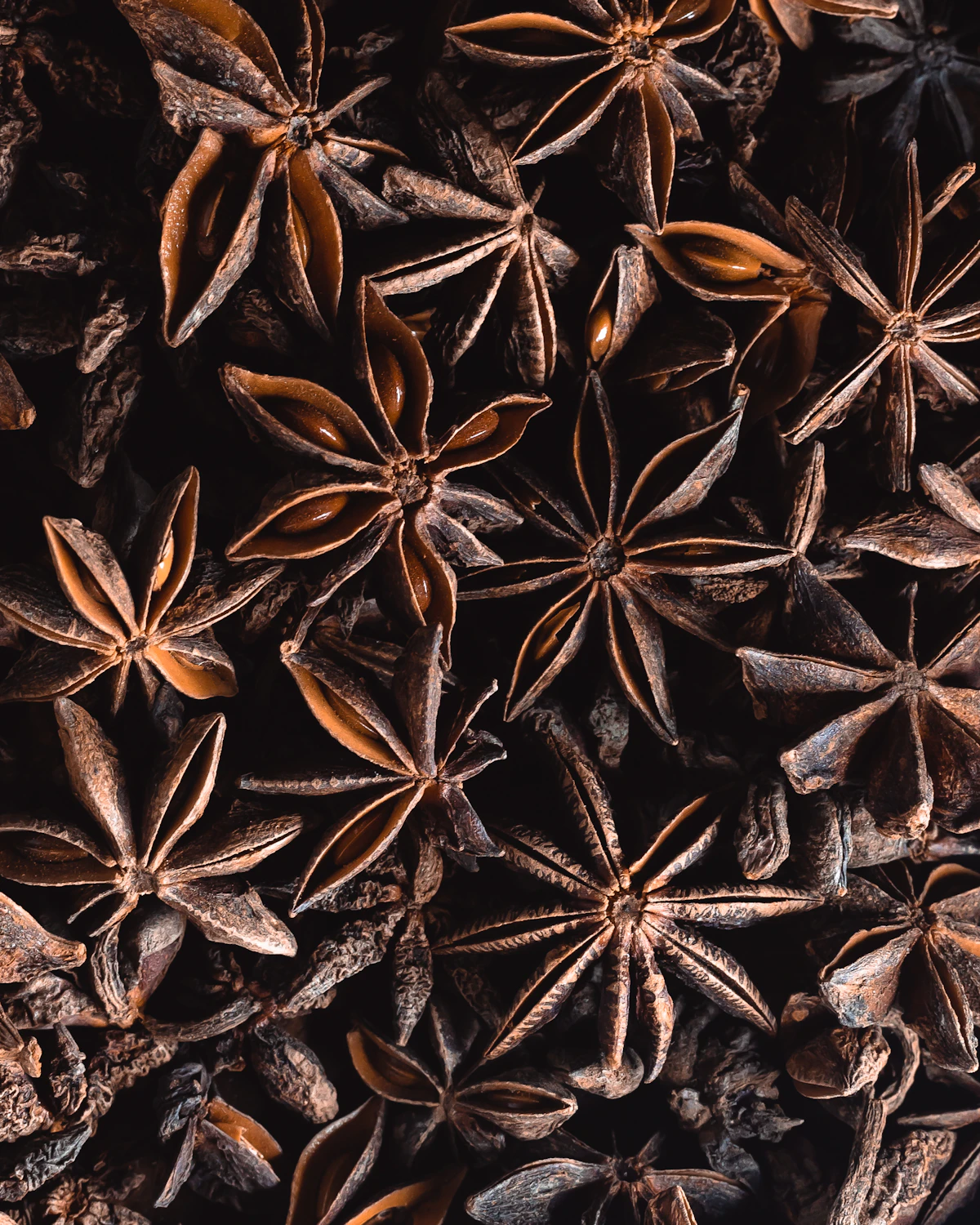 Vietnamese Star Anise — 8-Point Premium (2kg)