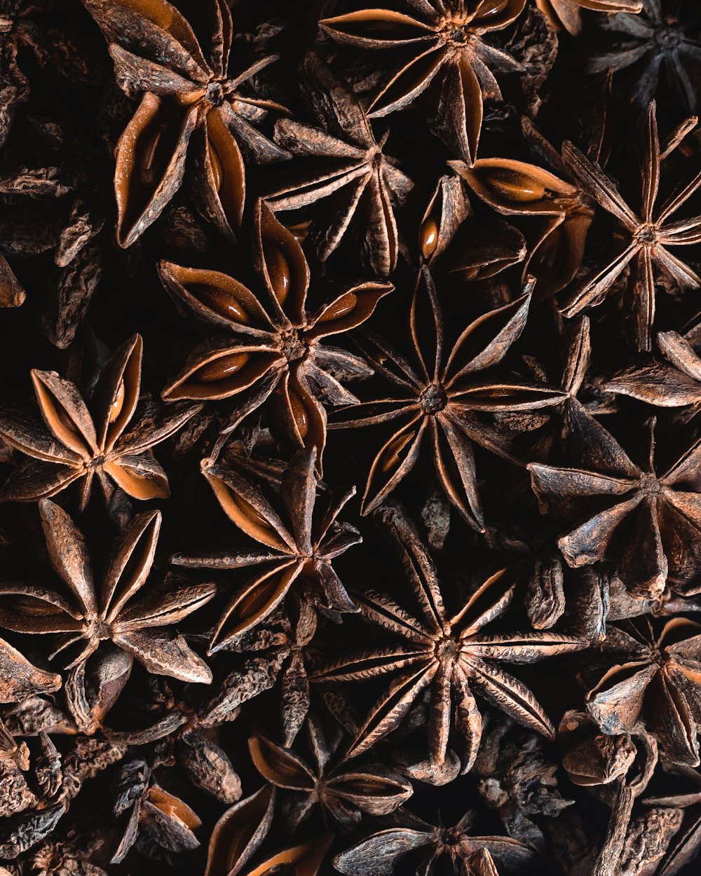 a bunch of star anise on a table