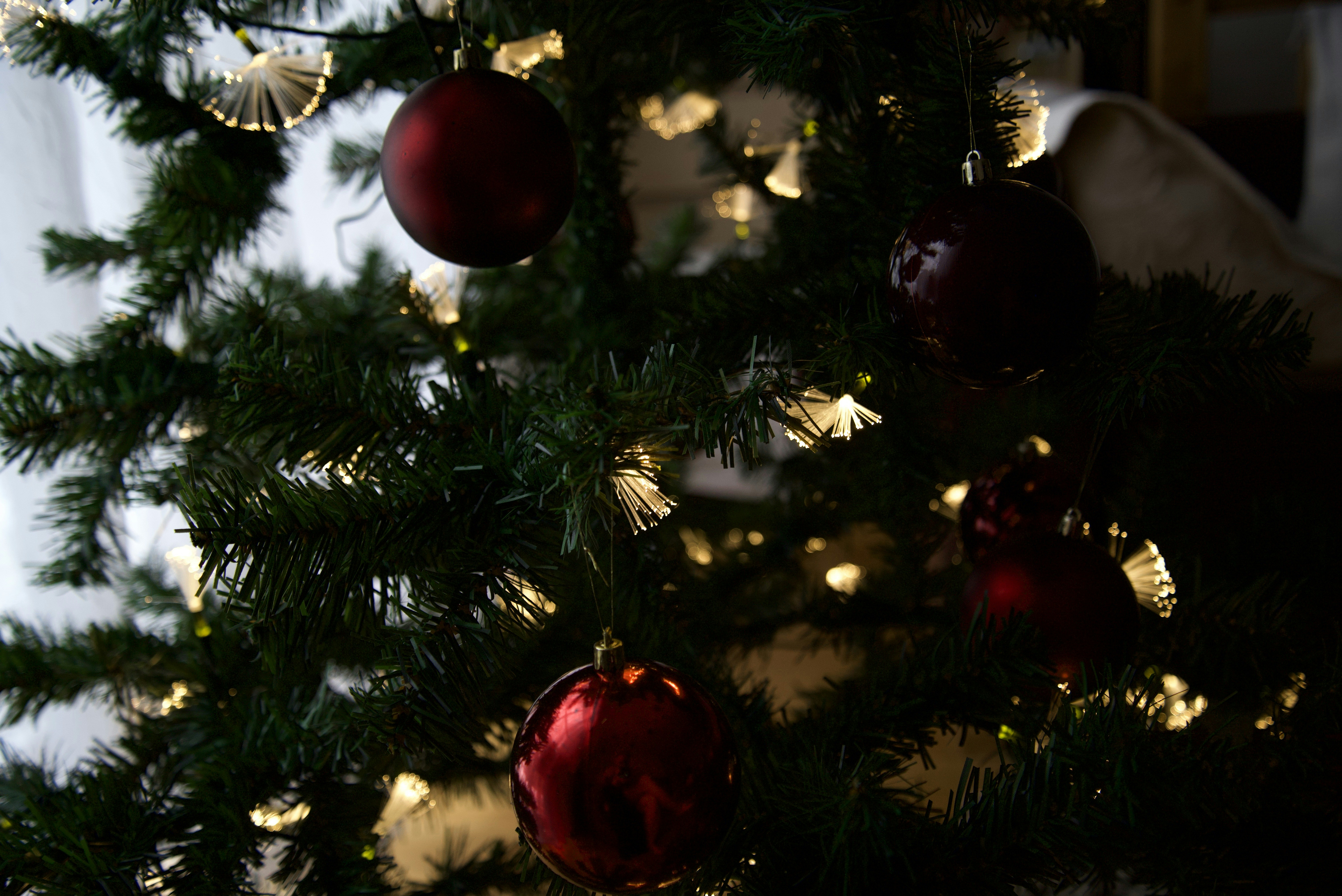 Photo by estoniaincorporated