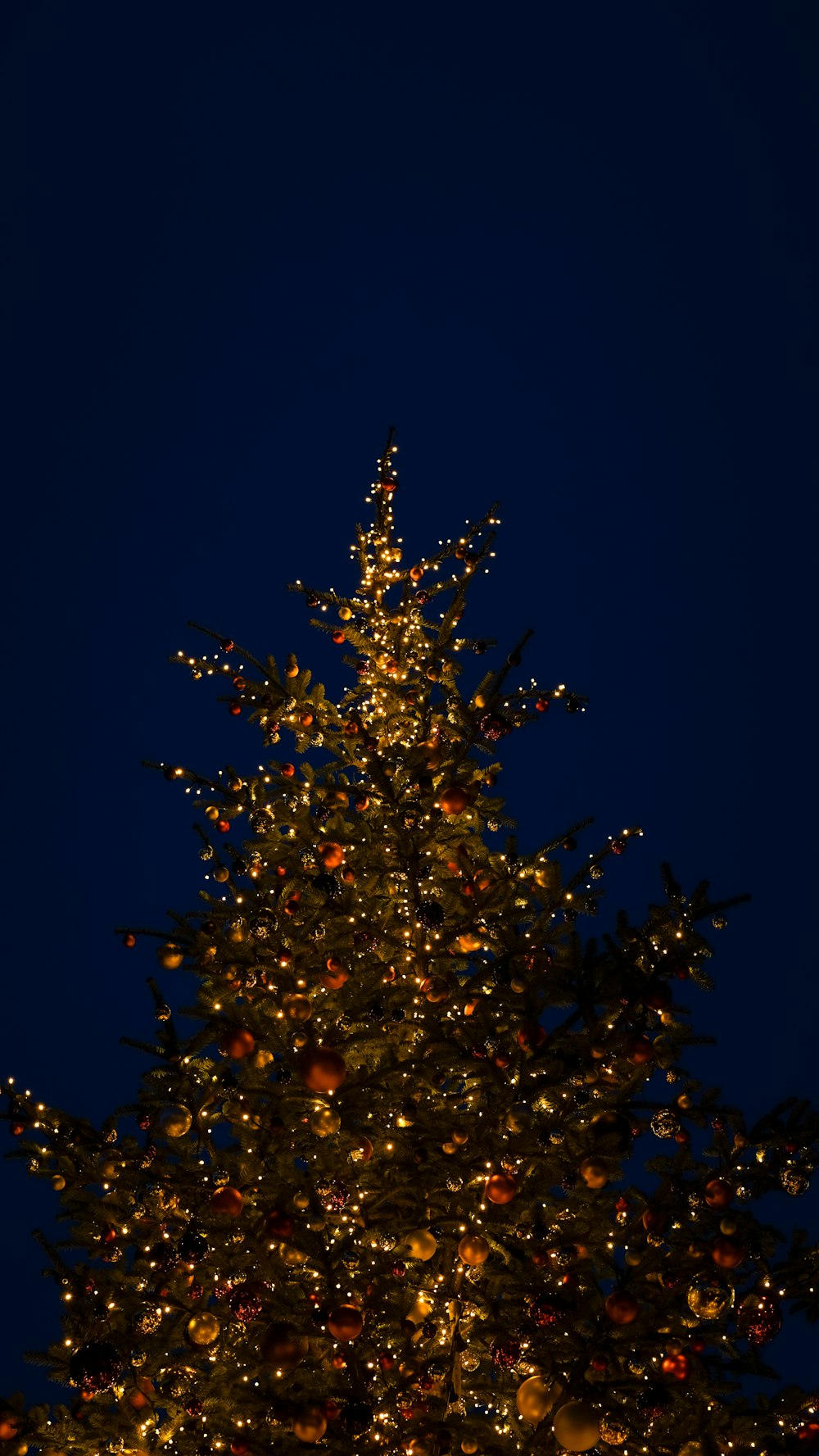 a very tall christmas tree lit up at night