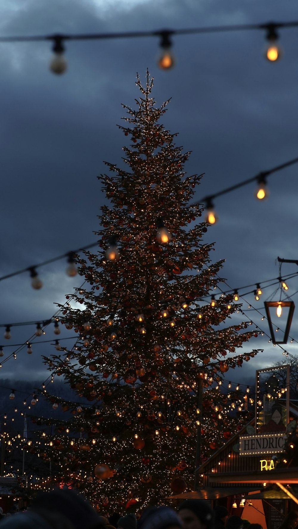 a large christmas tree is lit up at night