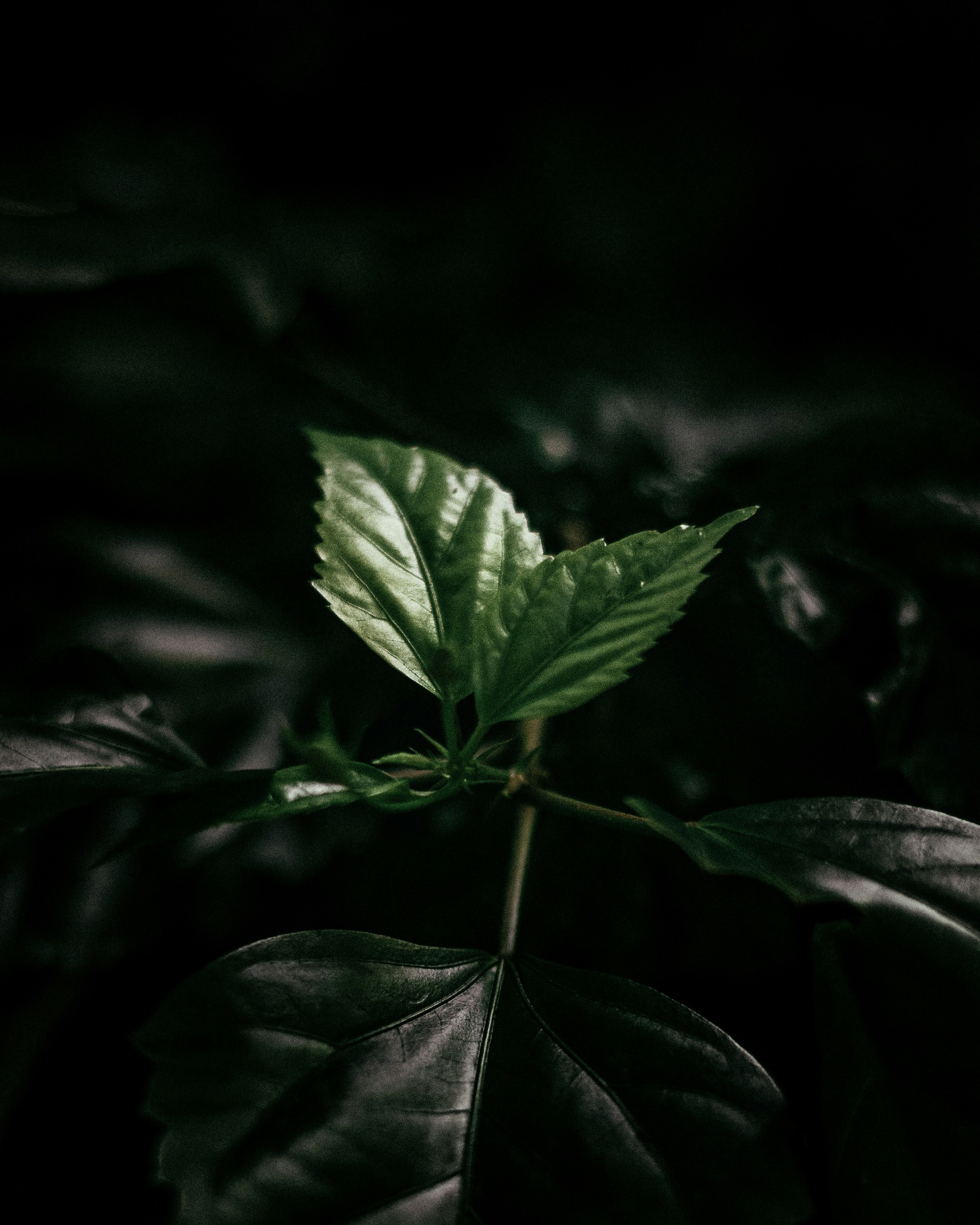 Photo by rubenstein111rebello