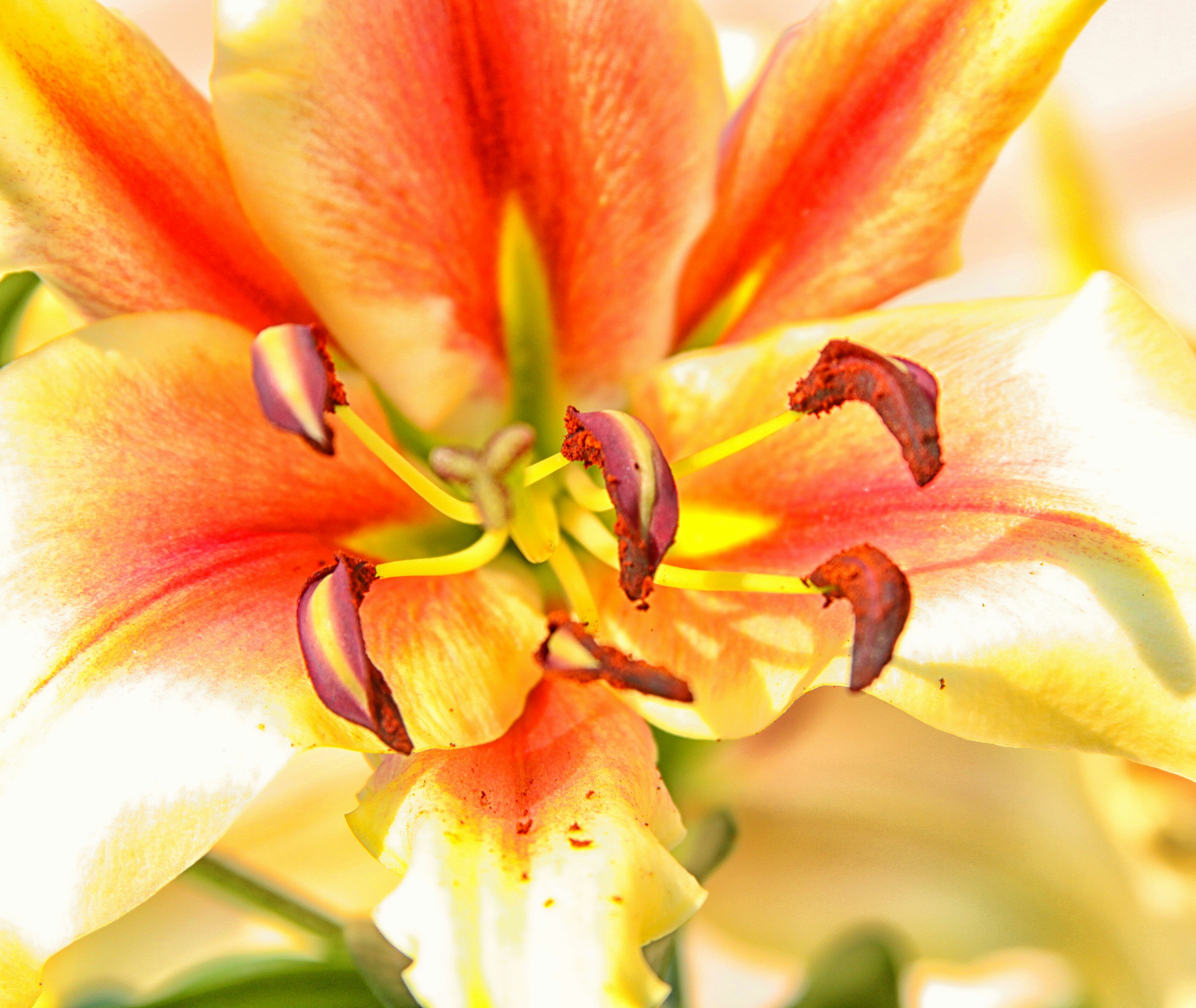 Photo by mikeyakaites