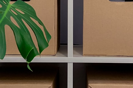 a plant in a cardboard box on a shelf