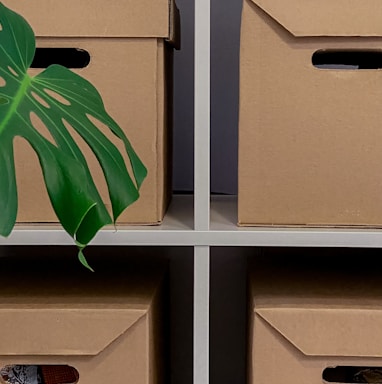 a plant in a cardboard box on a shelf