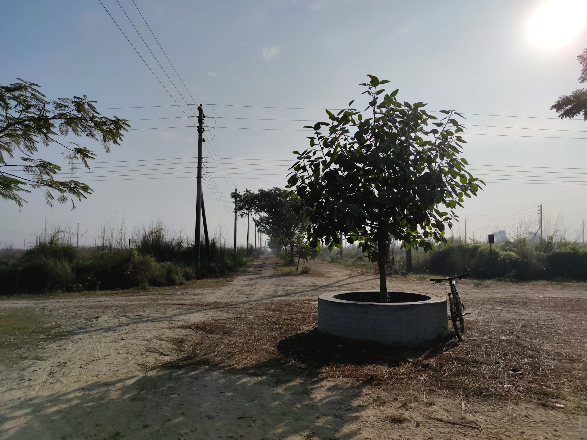 a bike parked next to a tree on a dirt road