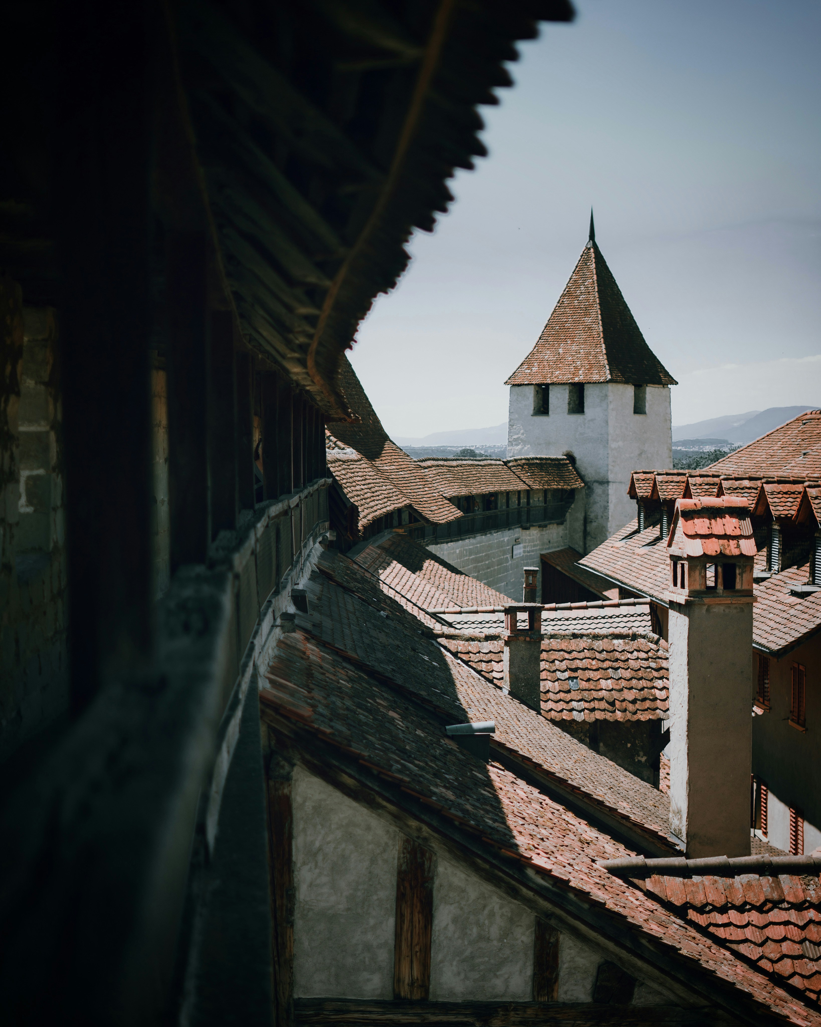 Photo by benaja_photos