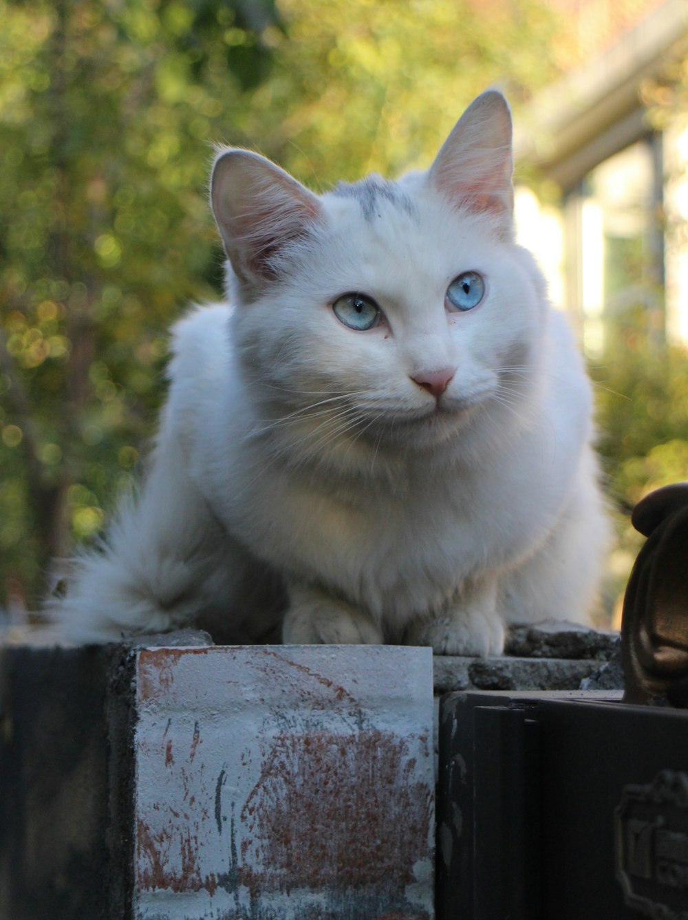 a white cat sitting on top of a brick box