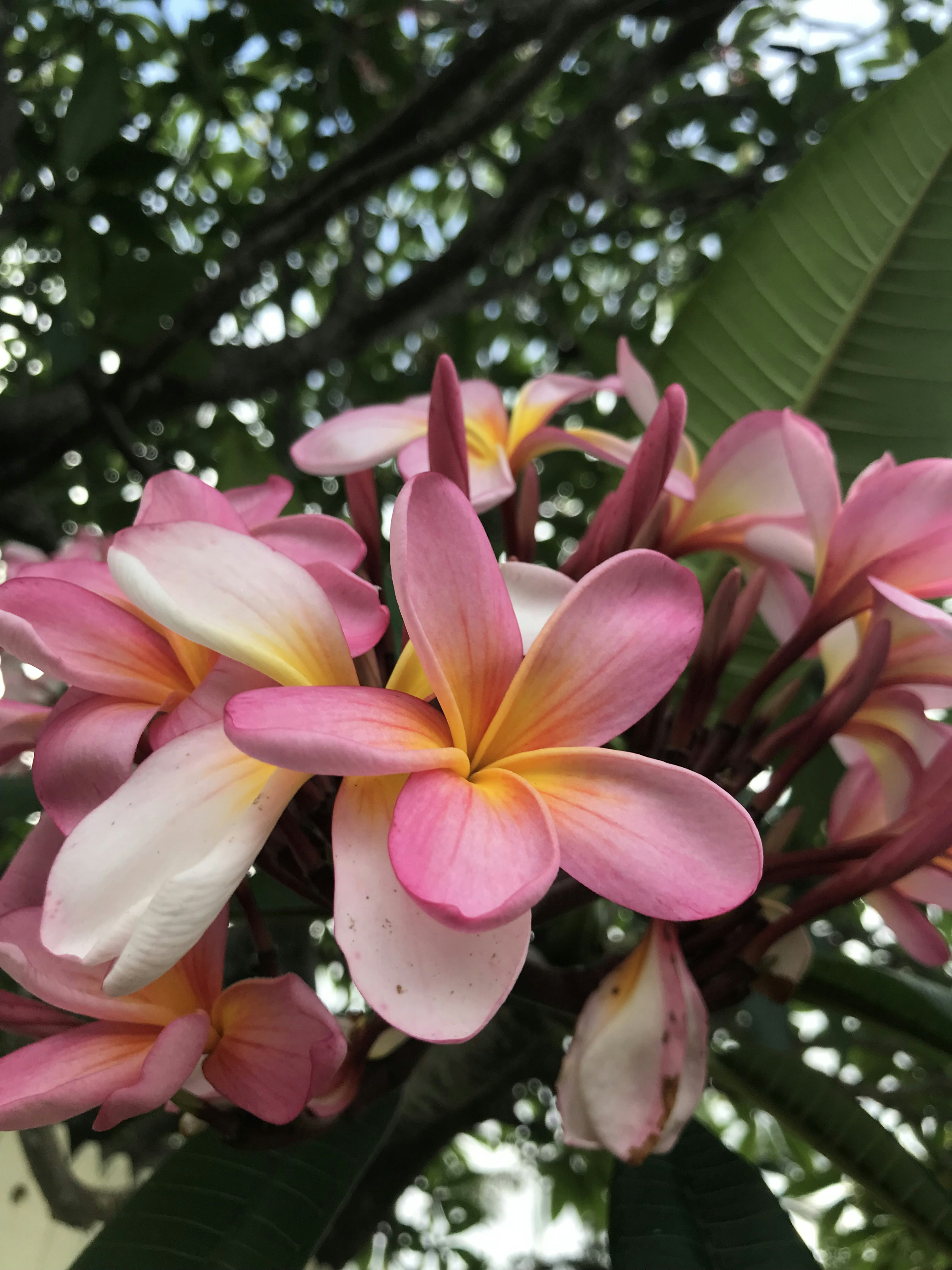 Photo by bridiewrites