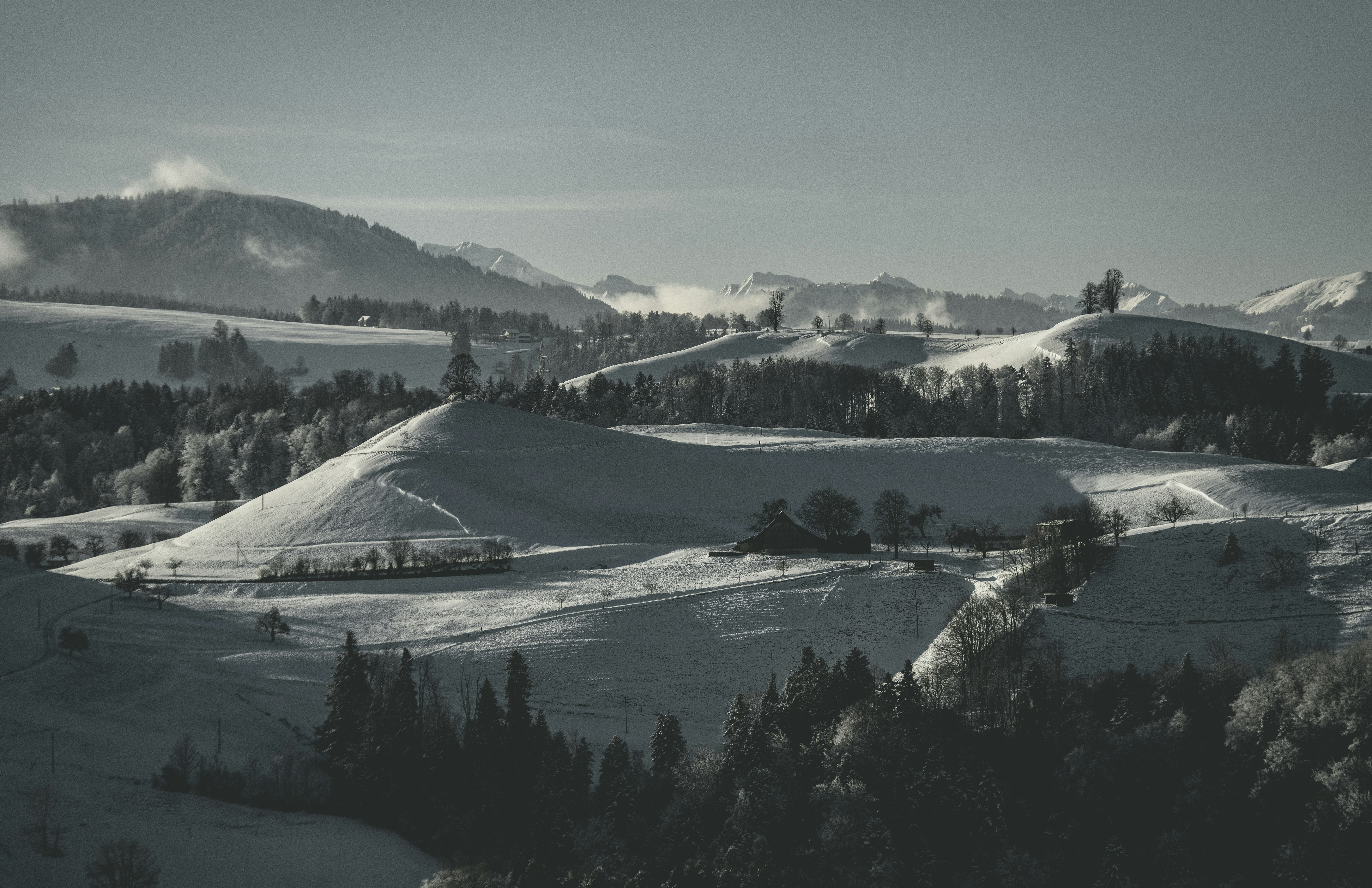 Photo by rgaleriacom