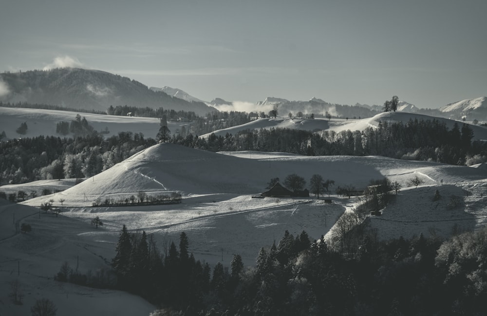Ein Schwarz-Weiß-Foto einer verschneiten Landschaft