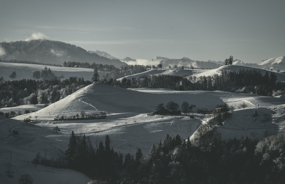 a black and white photo of a snowy landscape