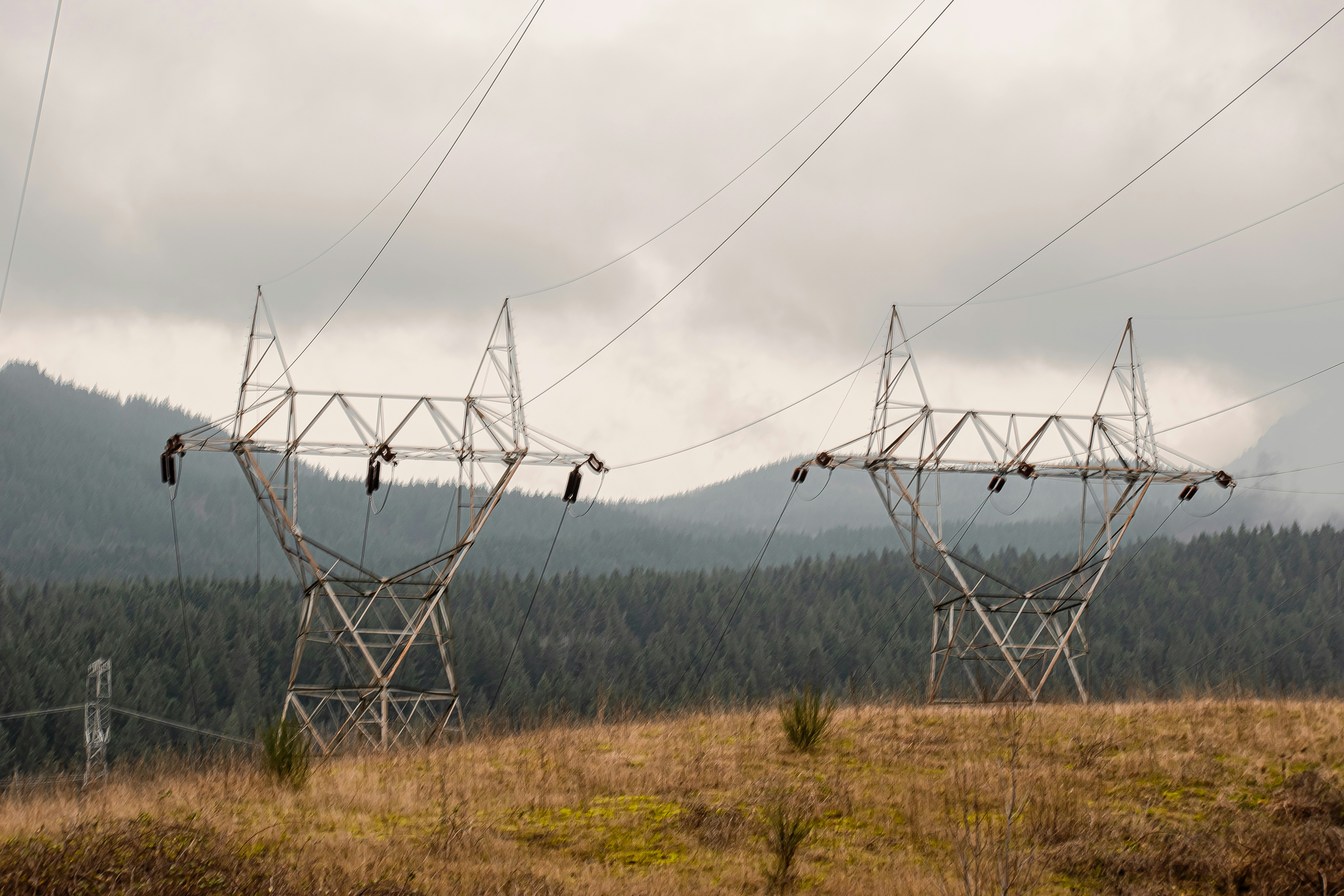 a couple of power lines sitting in the middle of a field