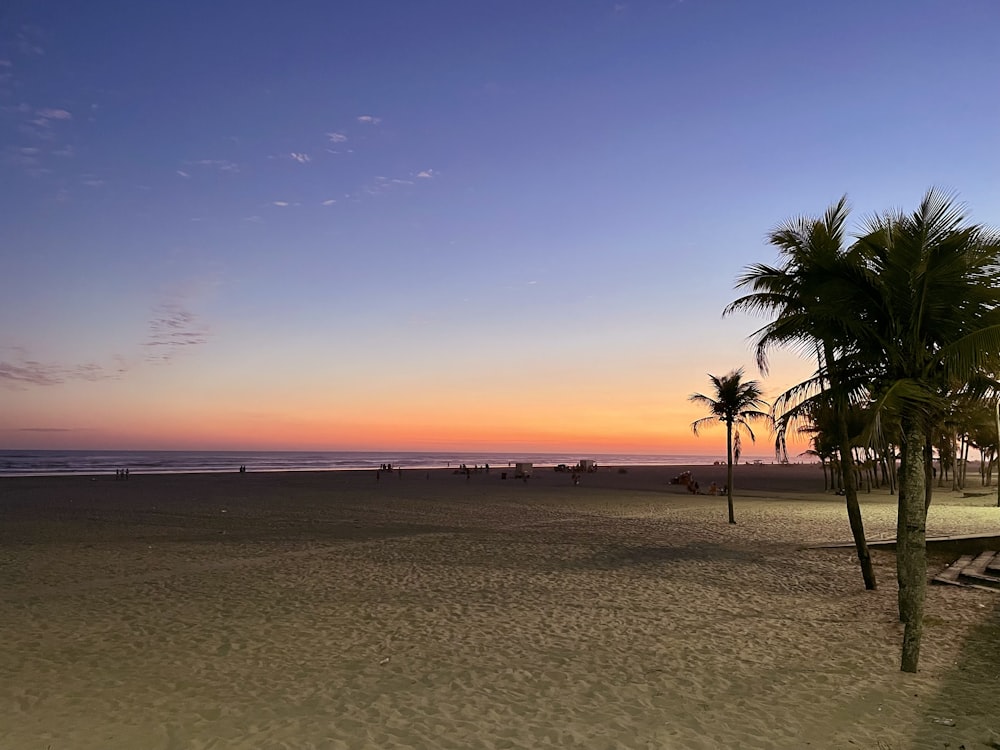 a beach at sunset with palm trees in the foreground