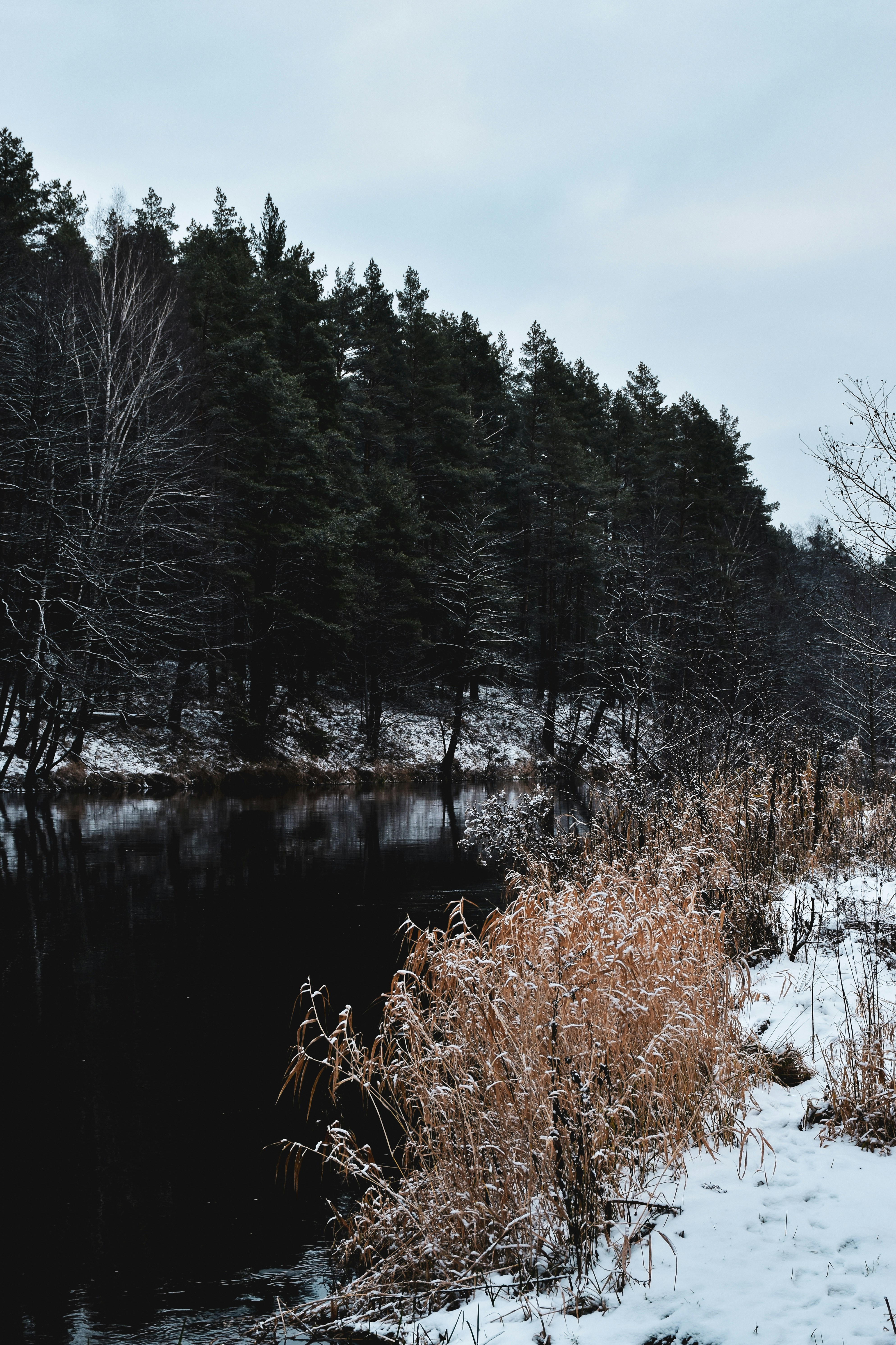 Photo by artem_makarov