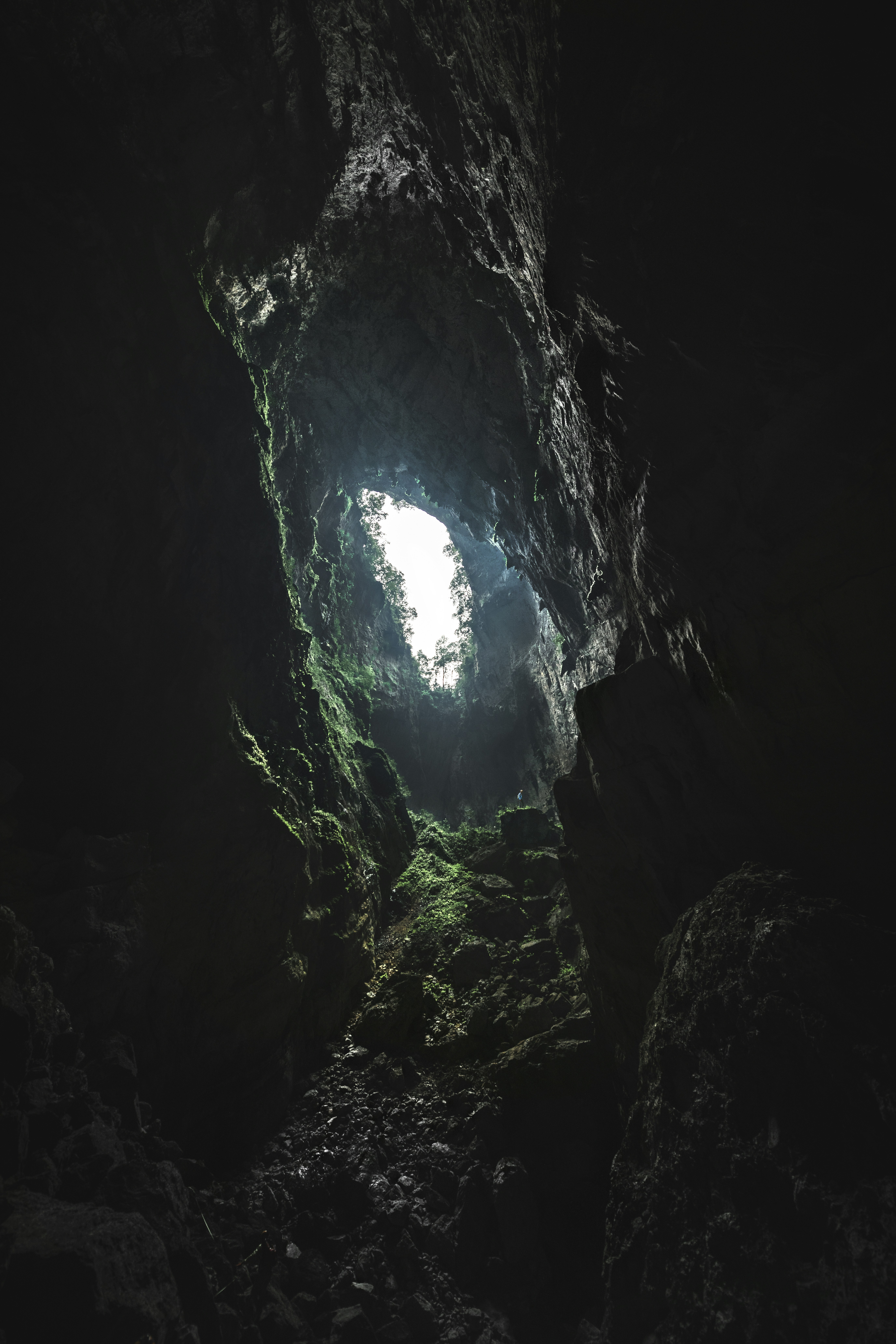 Quel Chasseur de Solo Leveling es-tu ? (Test Saison 2)