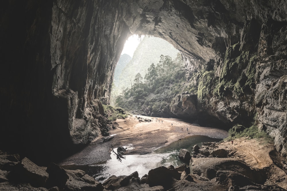 um rio rochoso com árvores ao lado de uma montanha