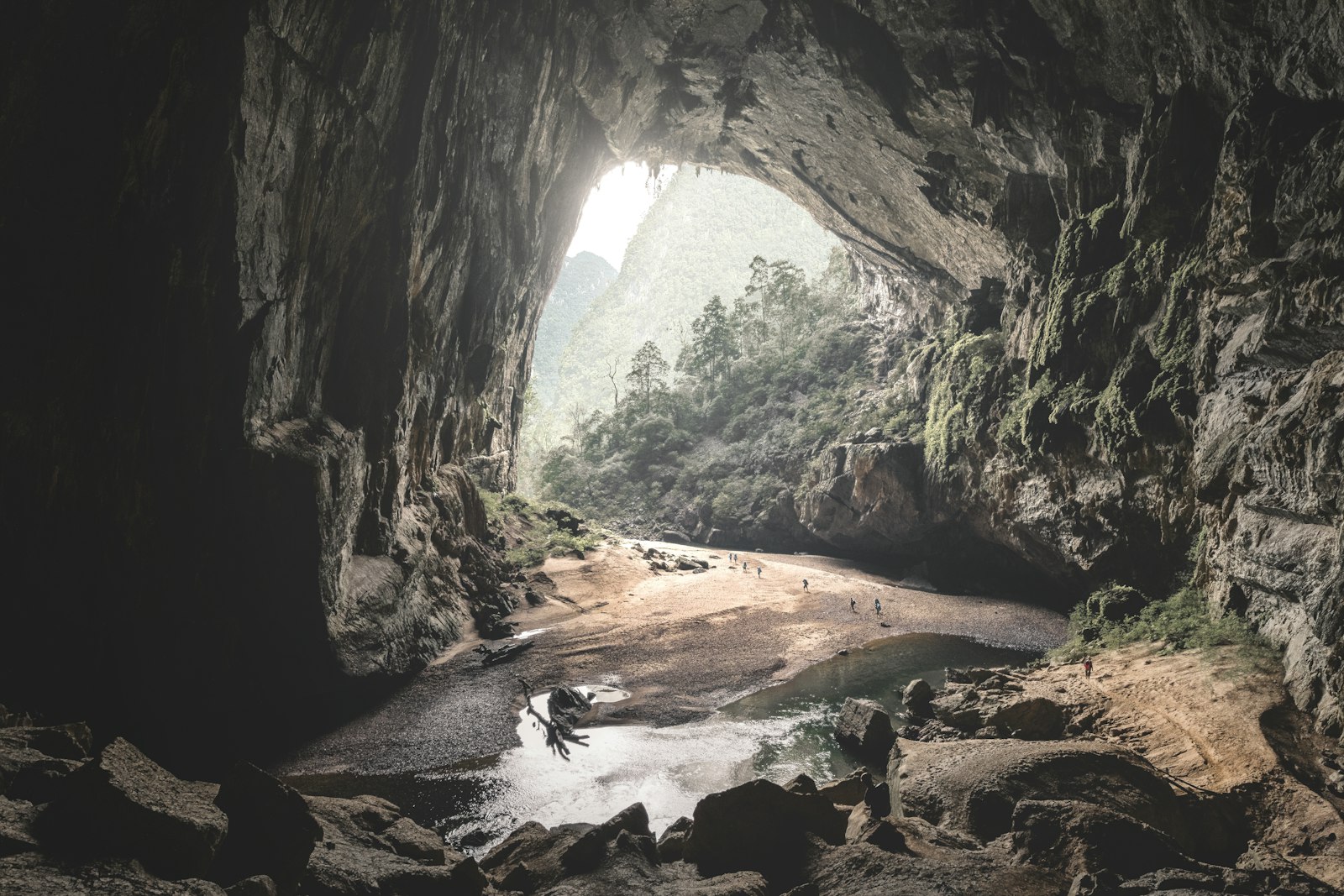 Enormous cave chamber with a shaft of daylight and jungle inside
