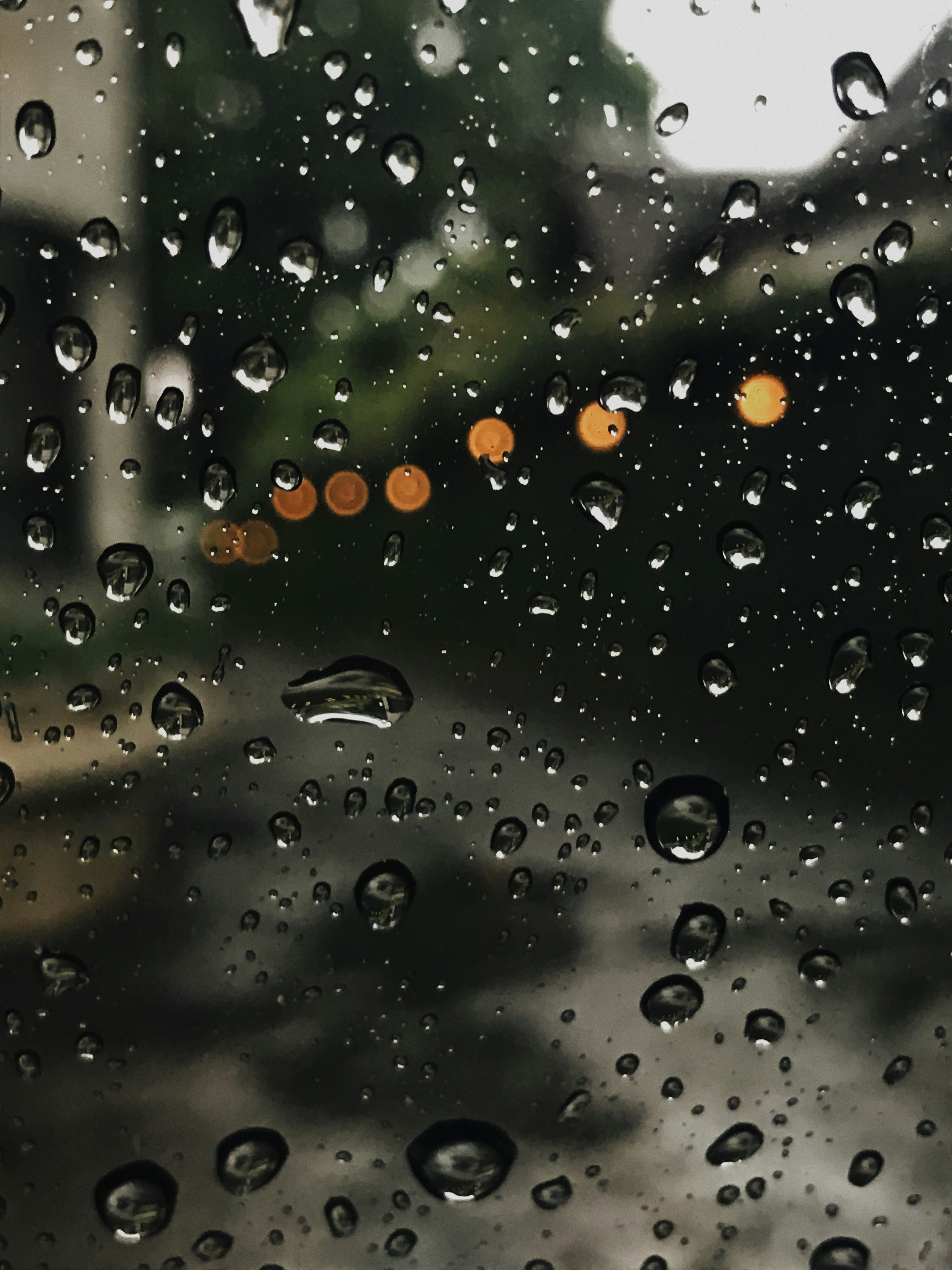 Photo by darisekitarmu_