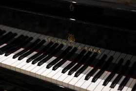 a close up of a piano with the name stein & sons on it