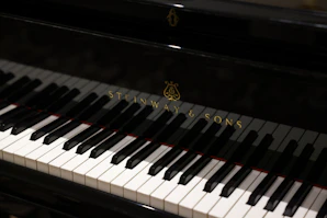 a close up of a piano with the name stein & sons on it