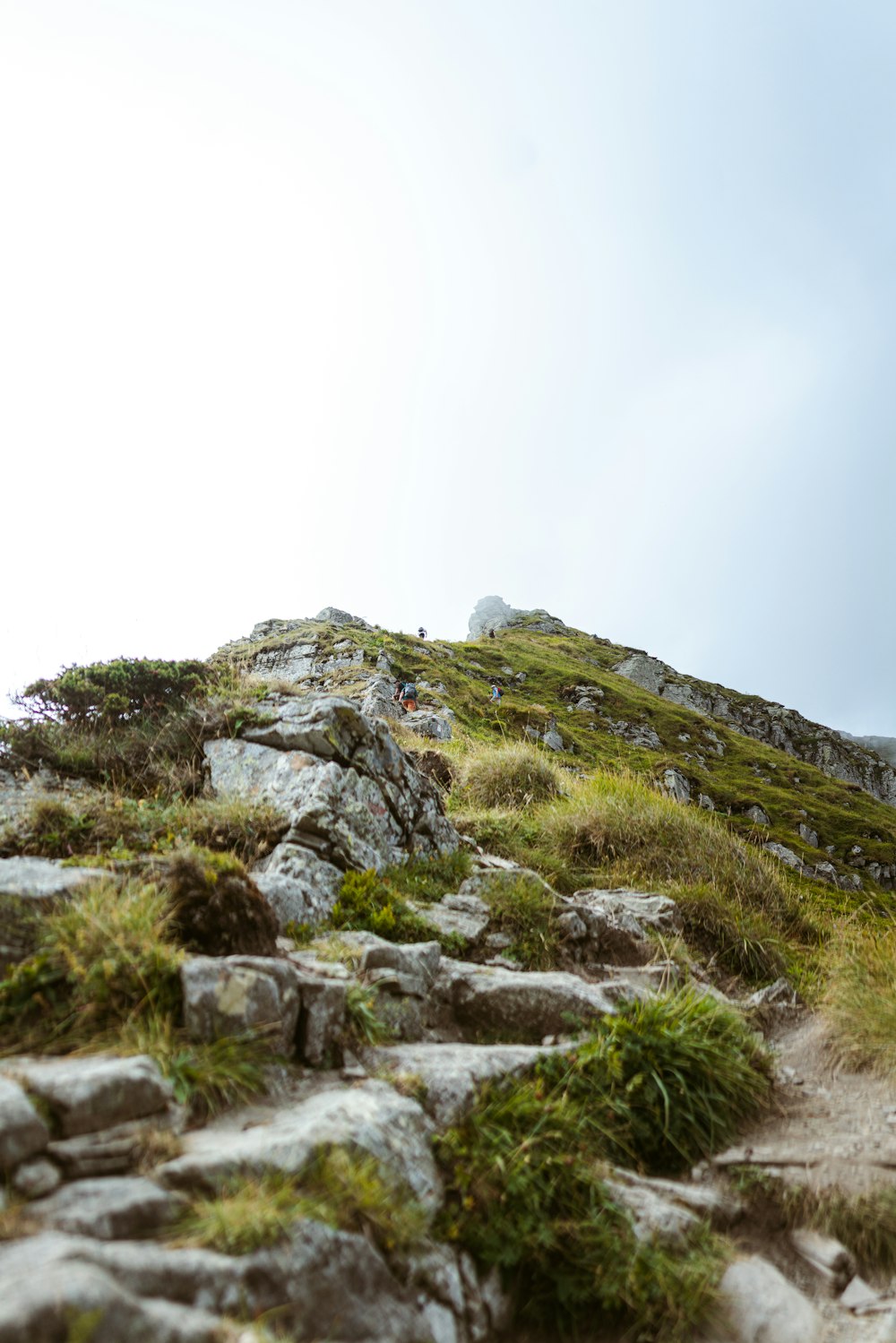 a man riding a bike on top of a lush green hillside