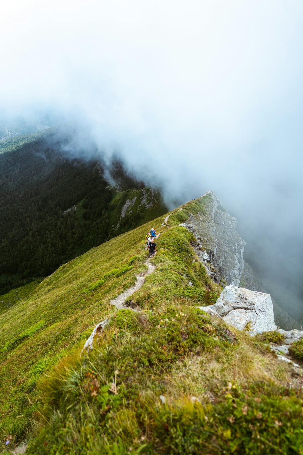 a man riding a bike down a lush green hillside