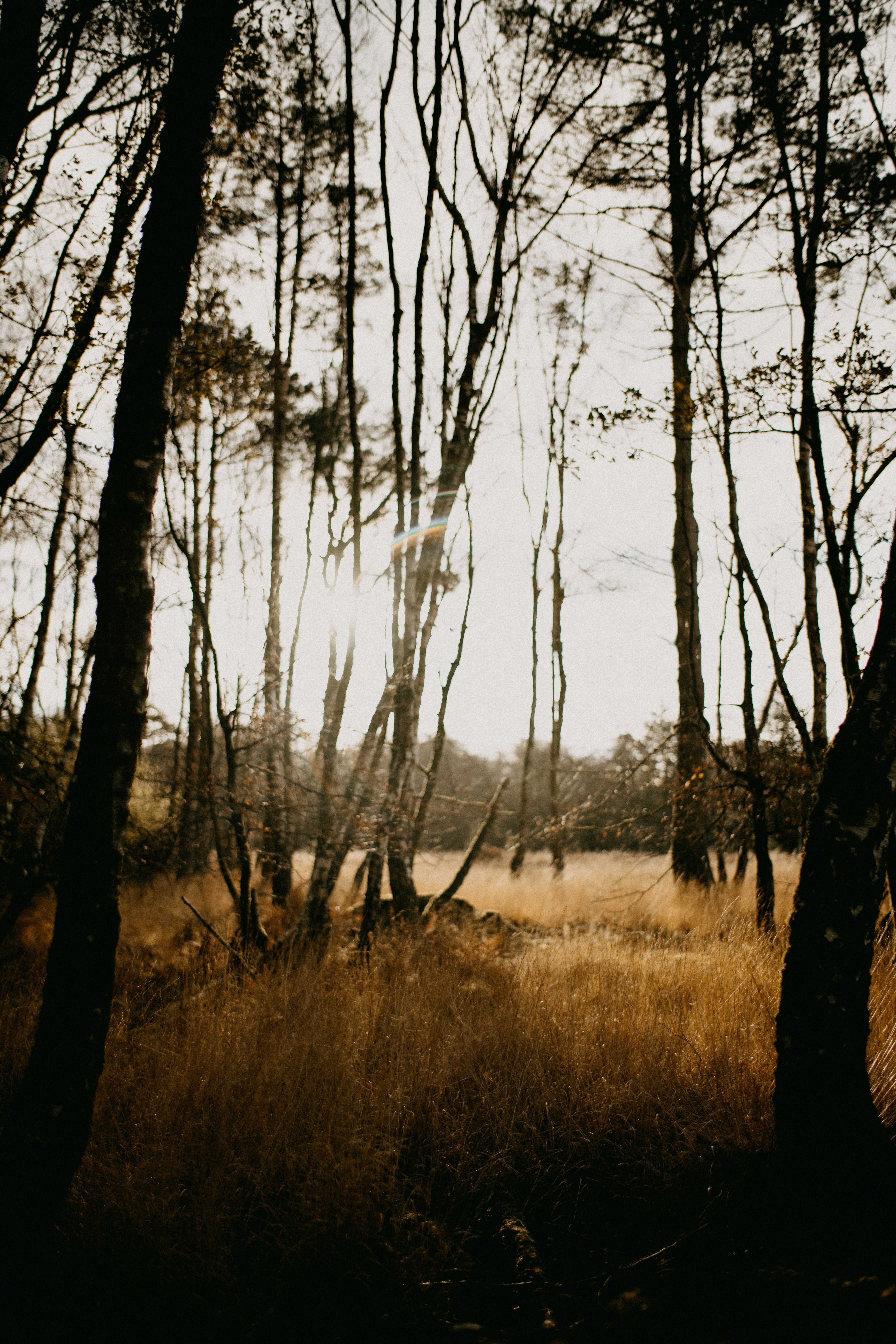 Photo by anniespratt