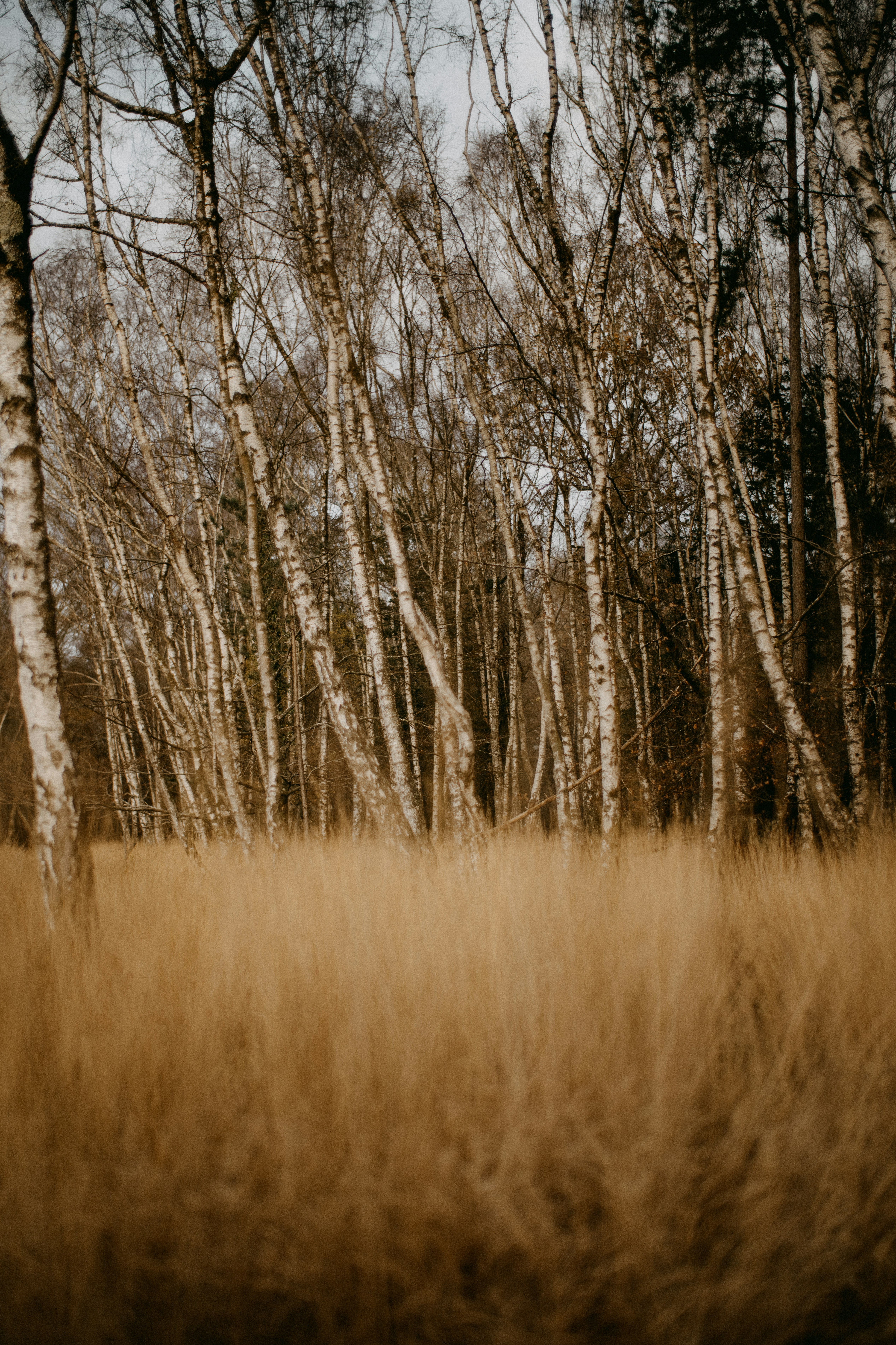 Photo by anniespratt