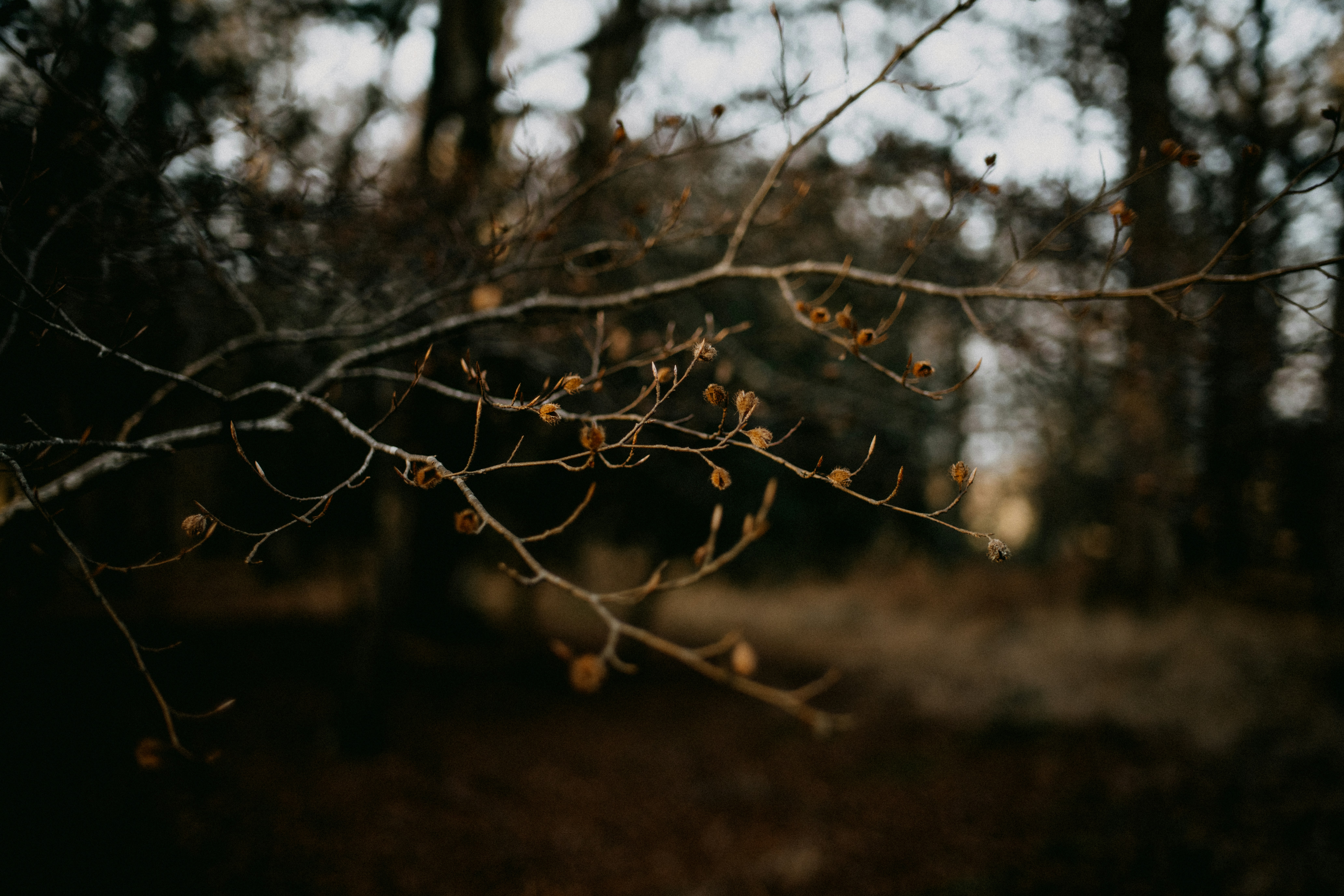 Photo by anniespratt