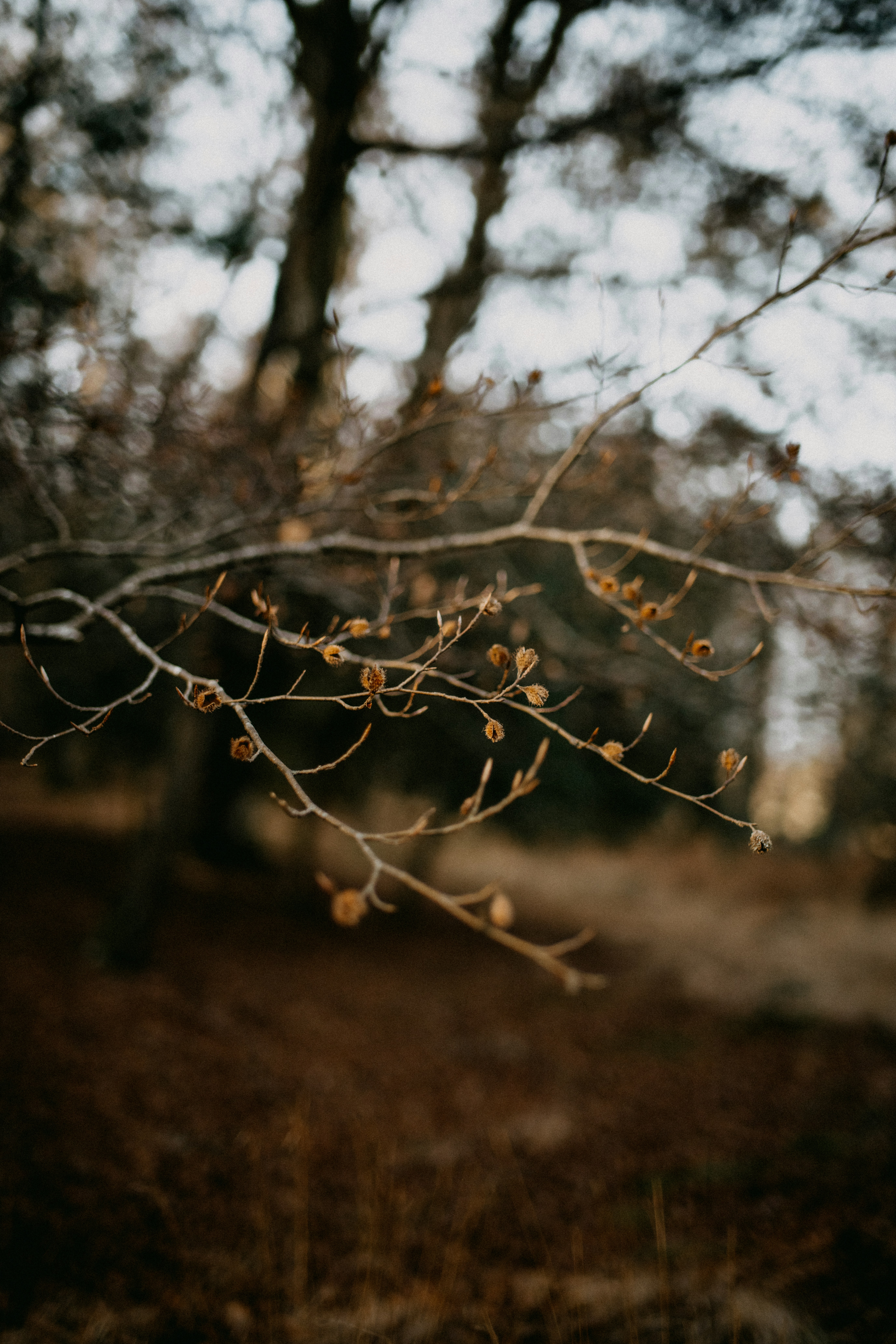 Photo by anniespratt