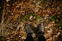 a person standing in a field of leaves
