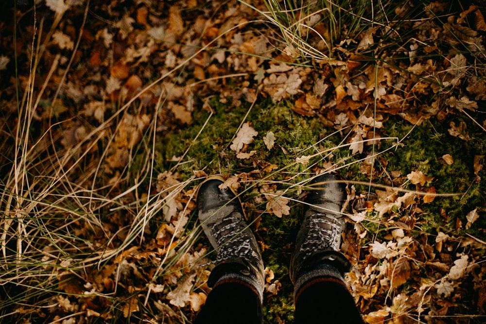 a person standing in a field of leaves