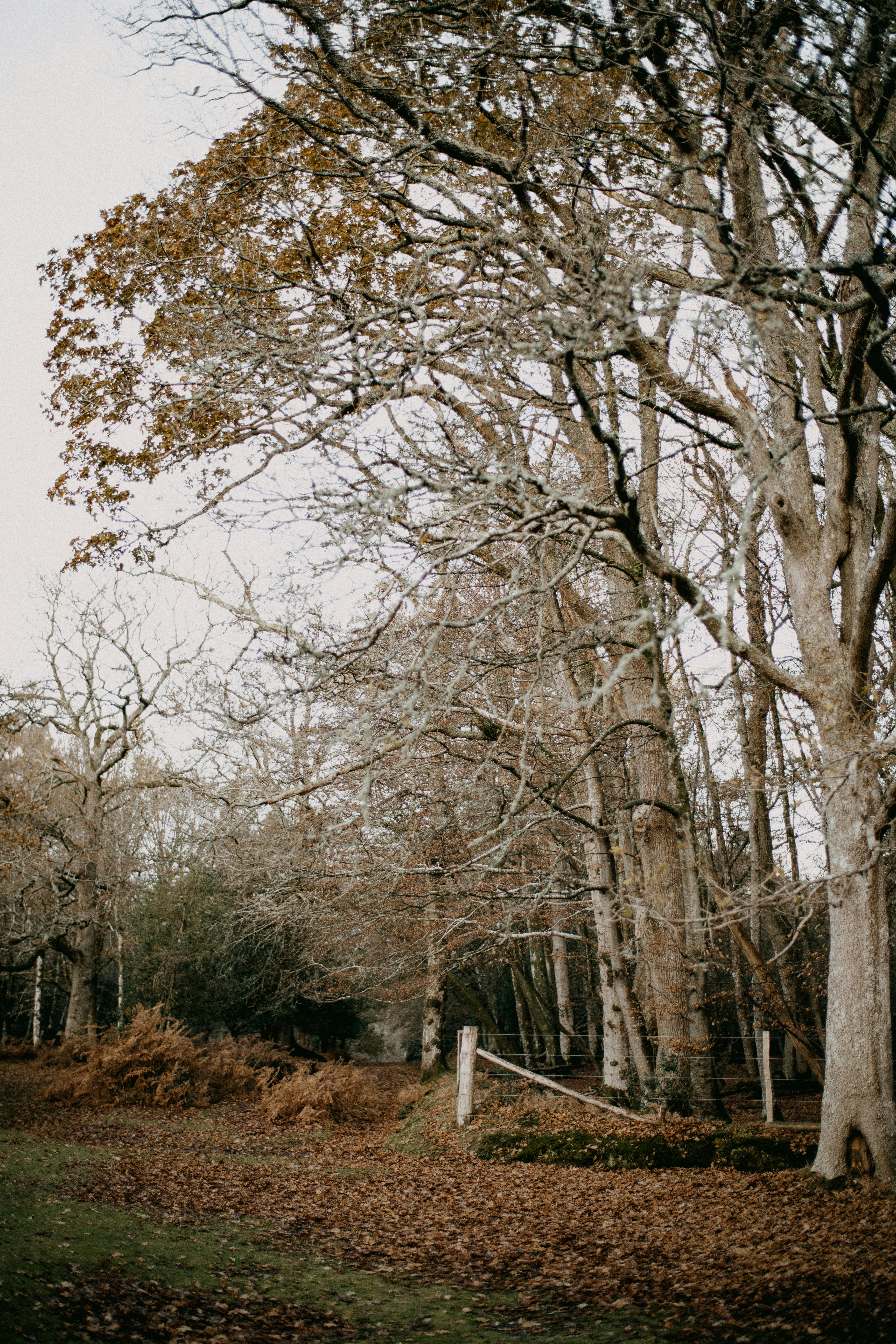 Photo by anniespratt