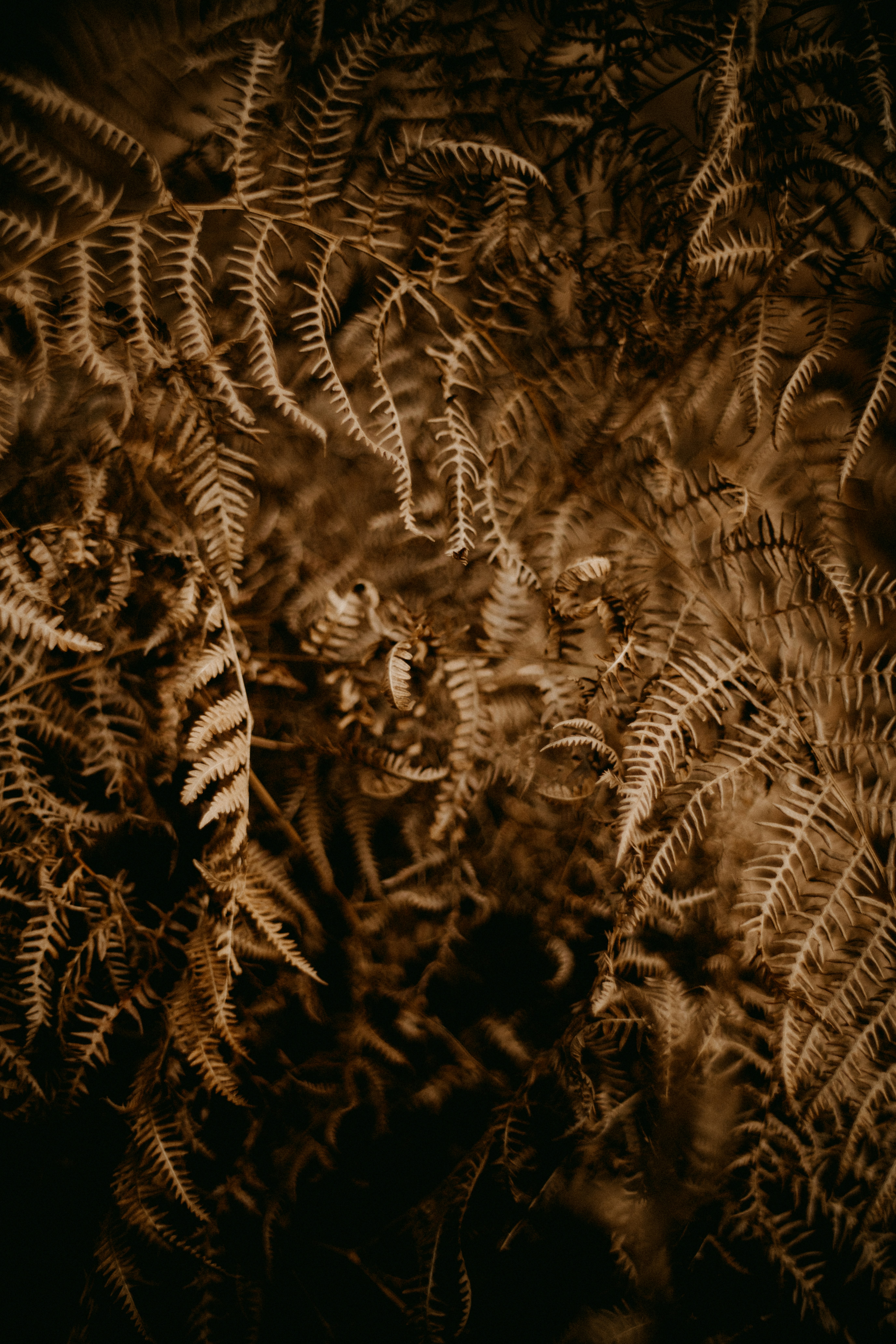 Photo by anniespratt