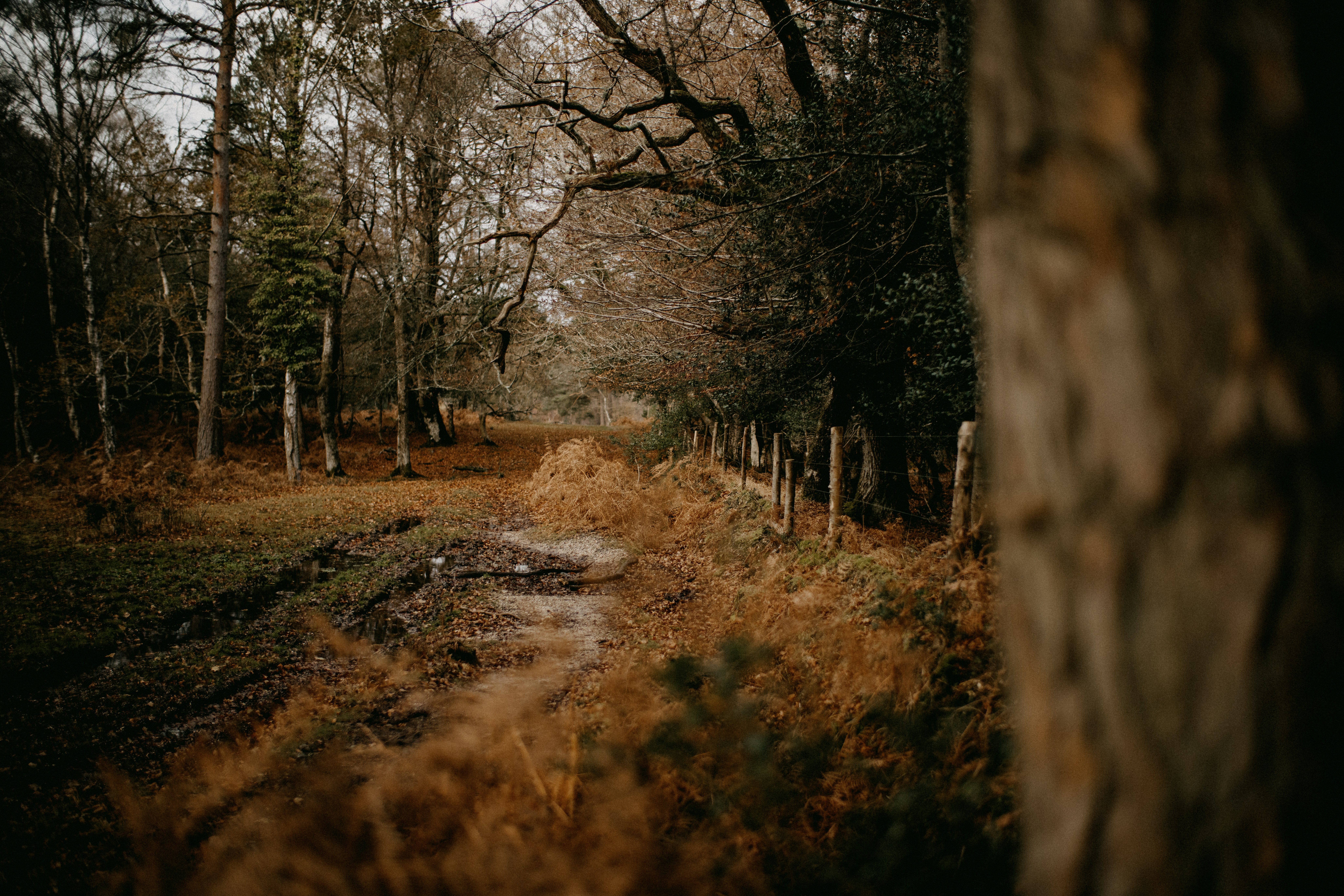 Photo by anniespratt